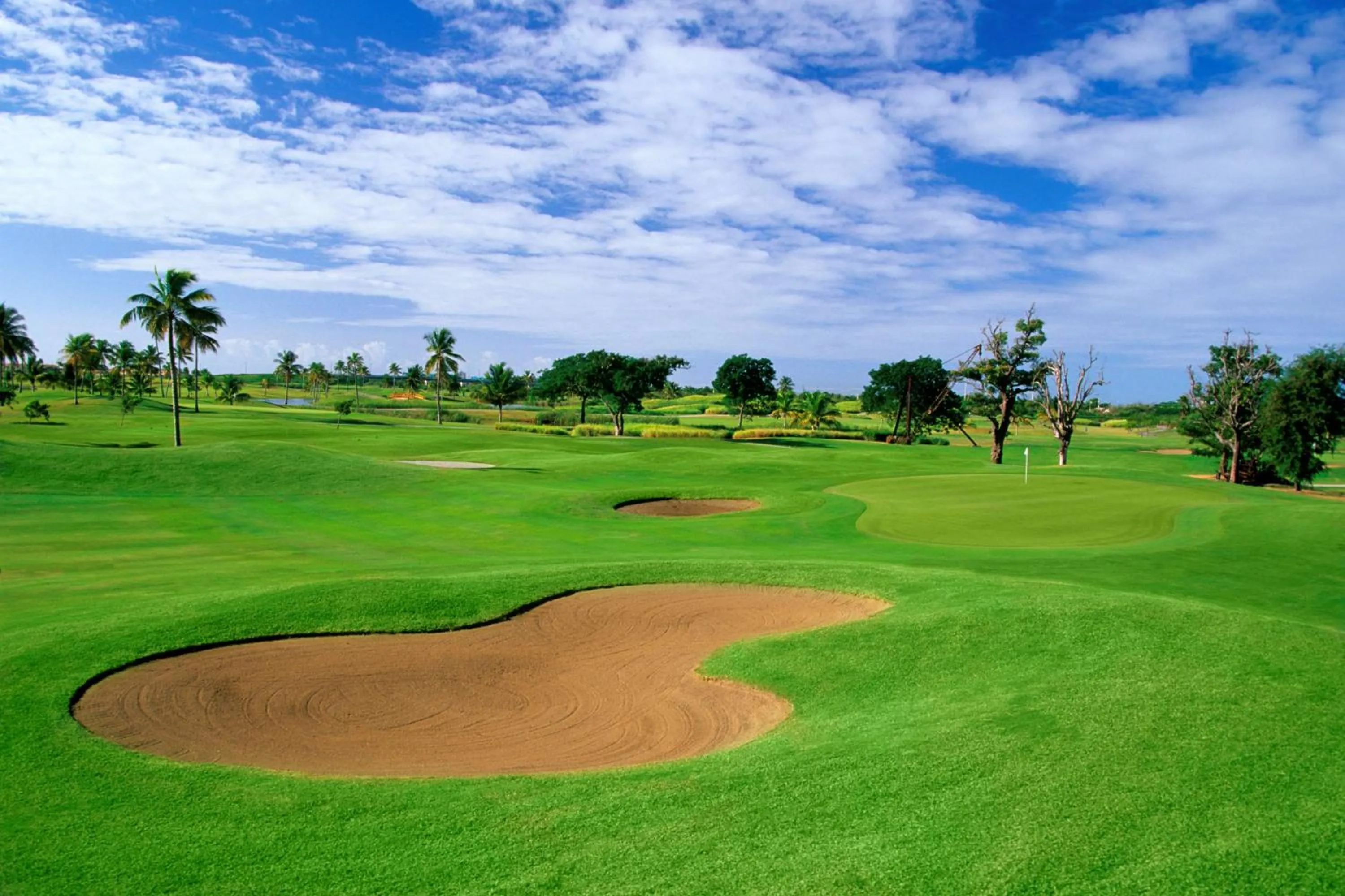 Golfcourse in Hilton Ponce Golf & Casino Resort