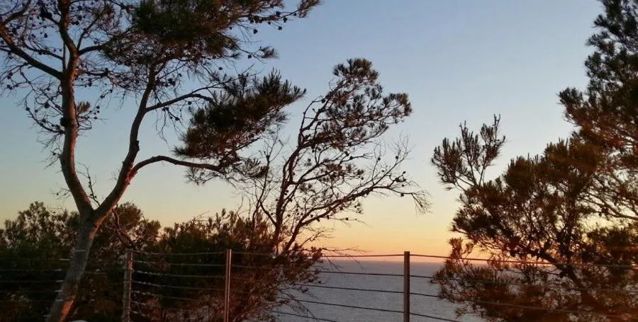 Property building in Sun Club El Dorado - All Inclusive