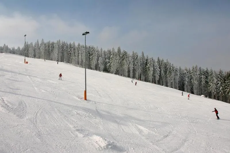 Skiing in Villa Silva - Oberhof