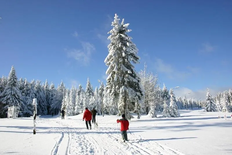 Skiing in Villa Silva - Oberhof