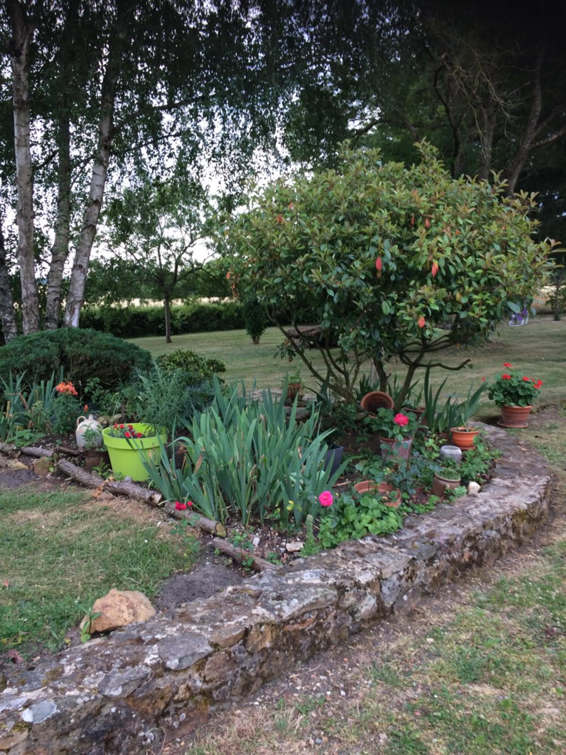 Natural landscape in Le Vitard