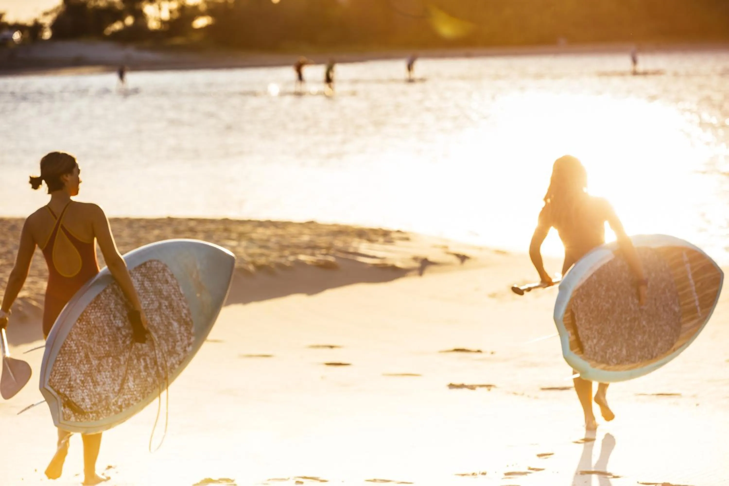 Beach in Kirra Surf Apartments