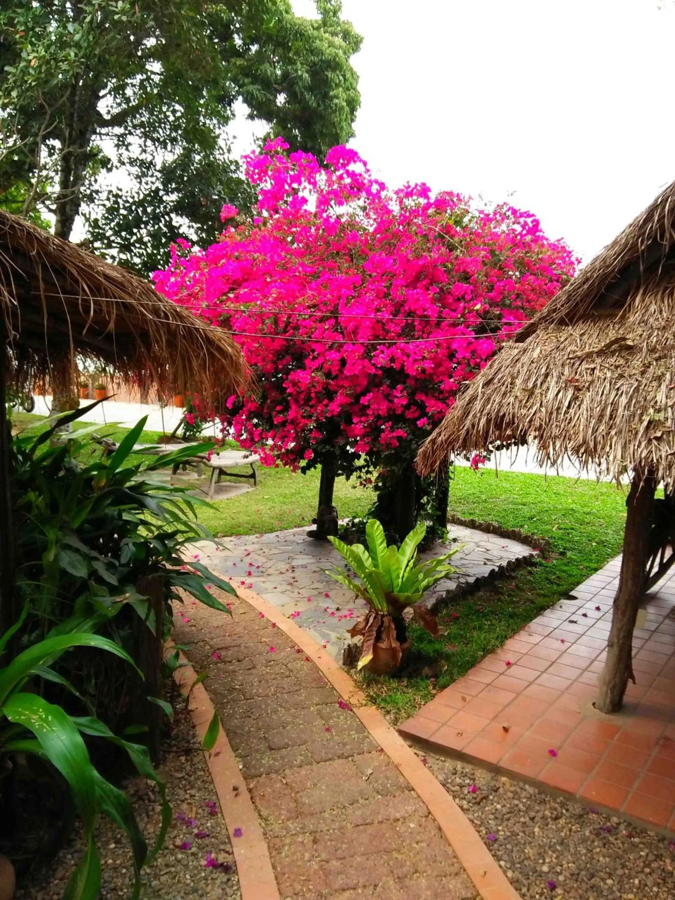 Garden in Mut Mee Garden Guest House