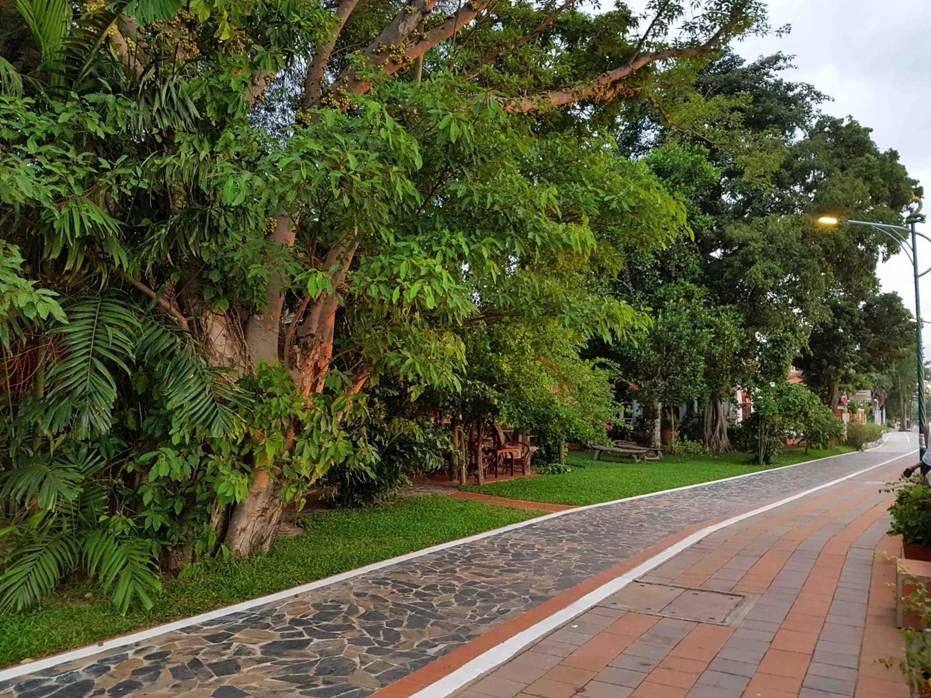 Garden in Mut Mee Garden Guest House