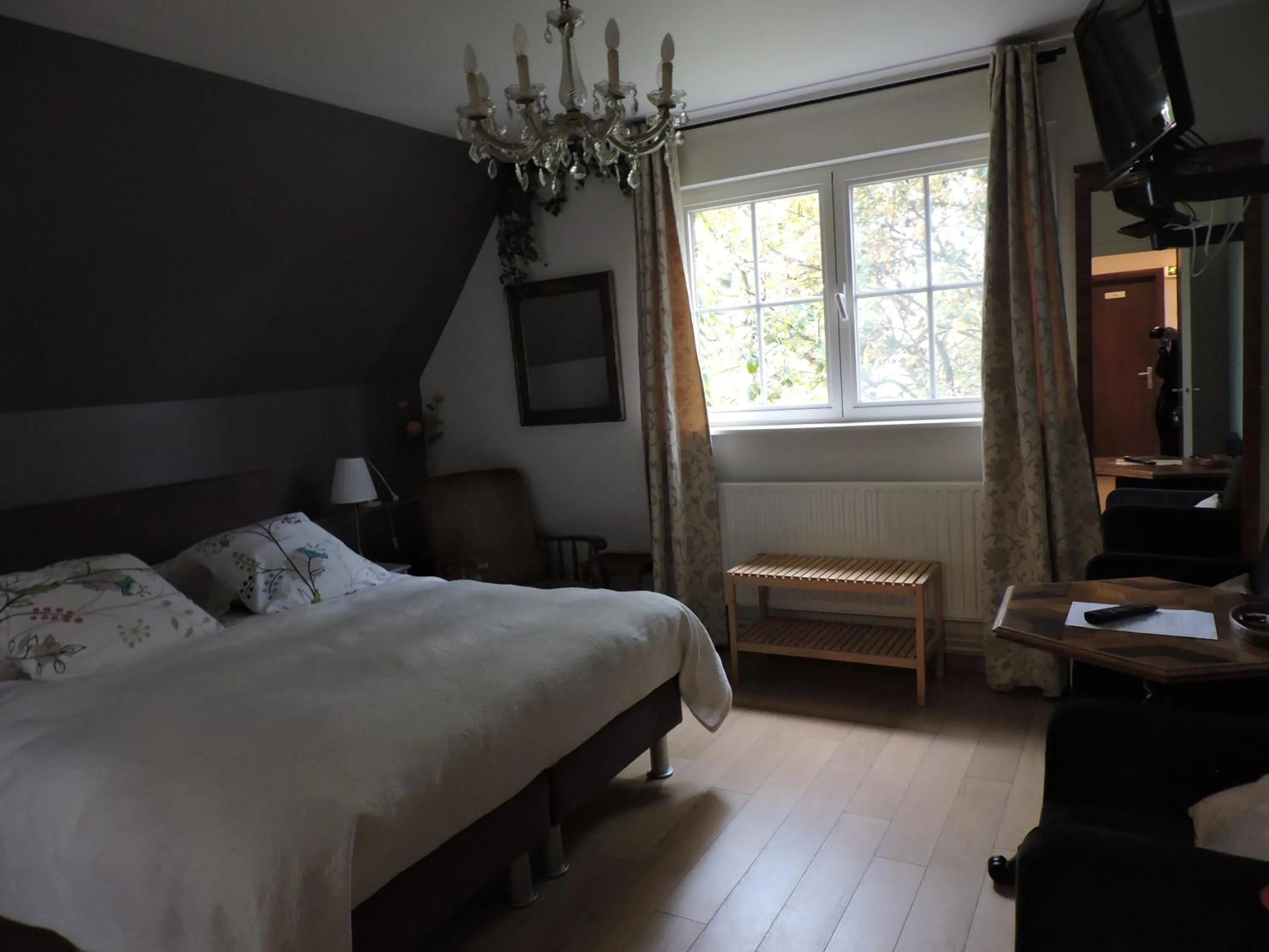 Day in B&B Villa Vanilla