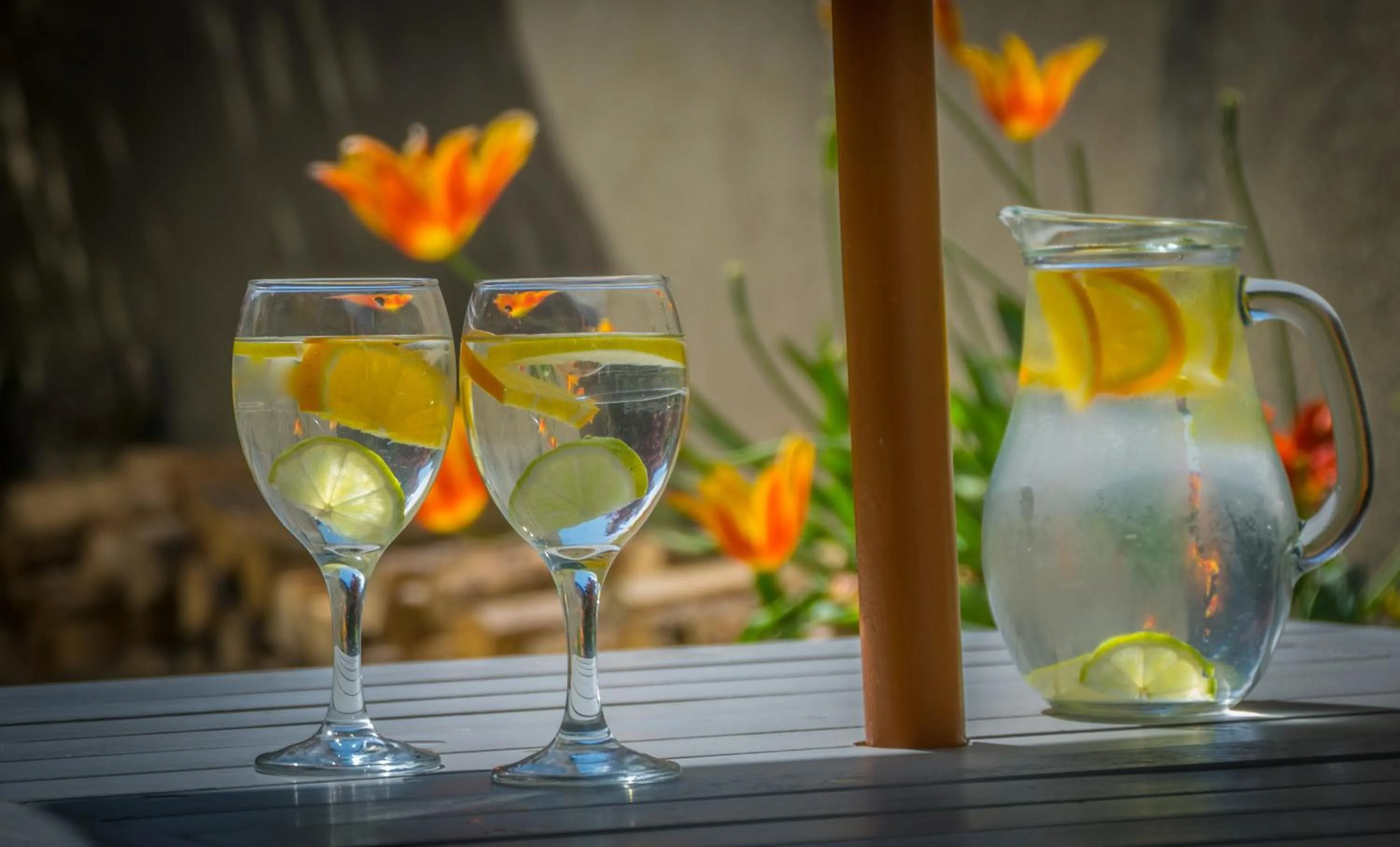 Garden in Old Kings Arms Hotel