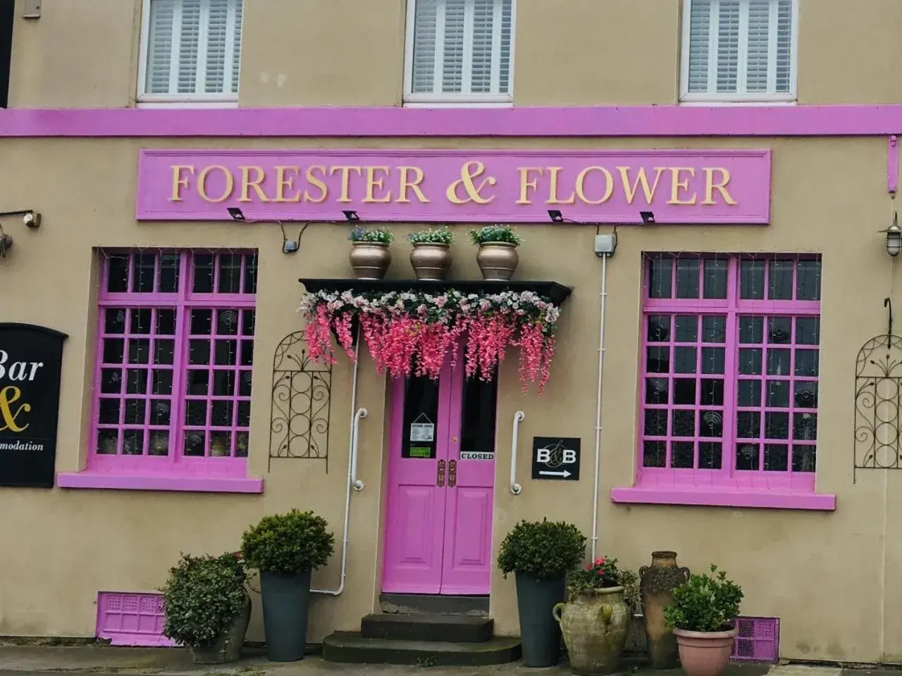 The Forester and Flower The Forester and Flower
