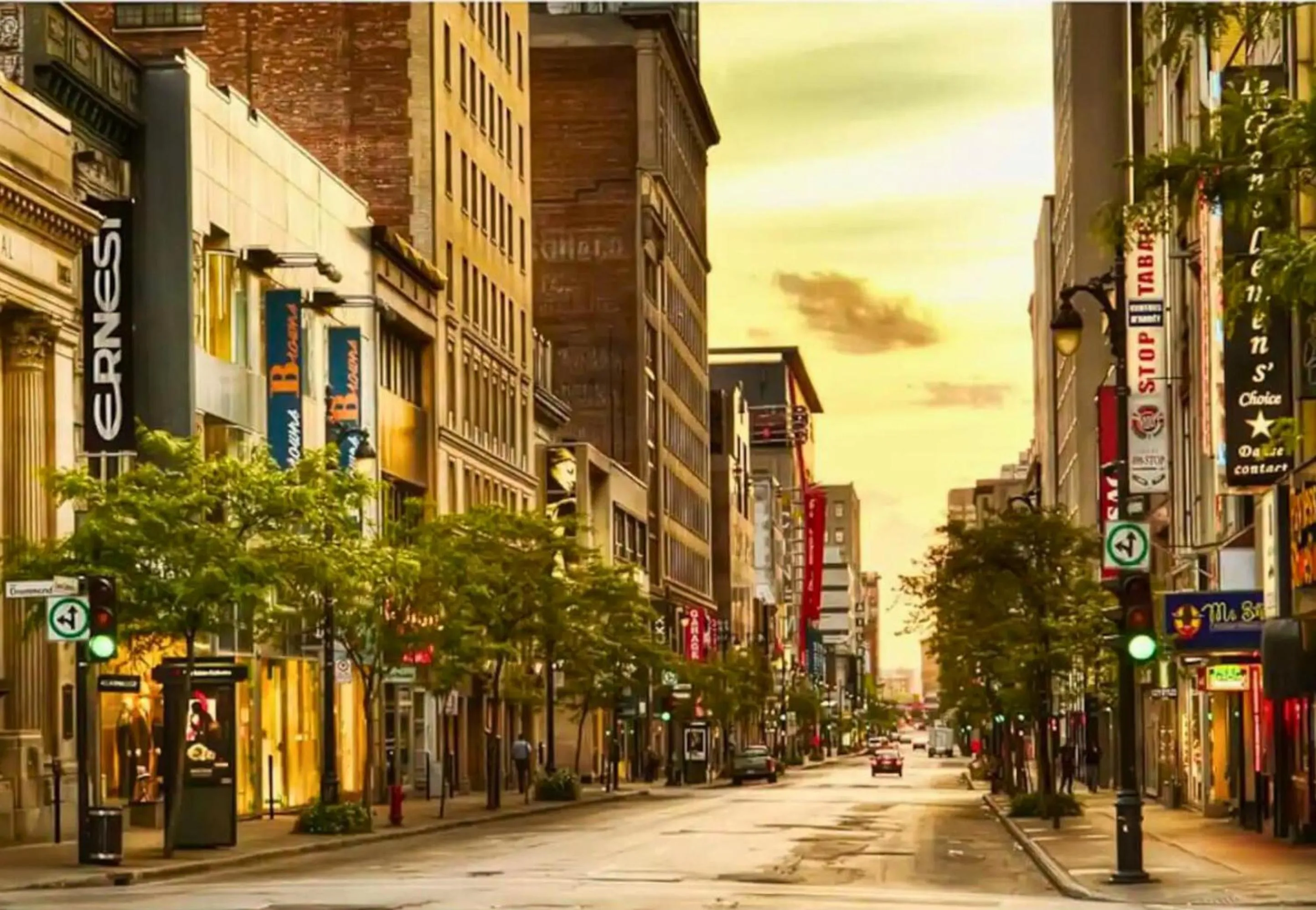 Day in LiV MTL Plato