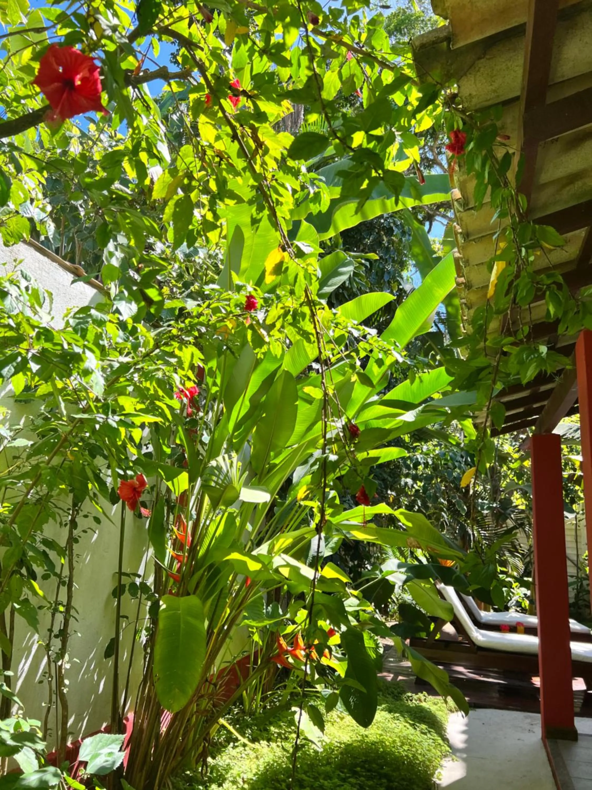 Casa da Beatriz
