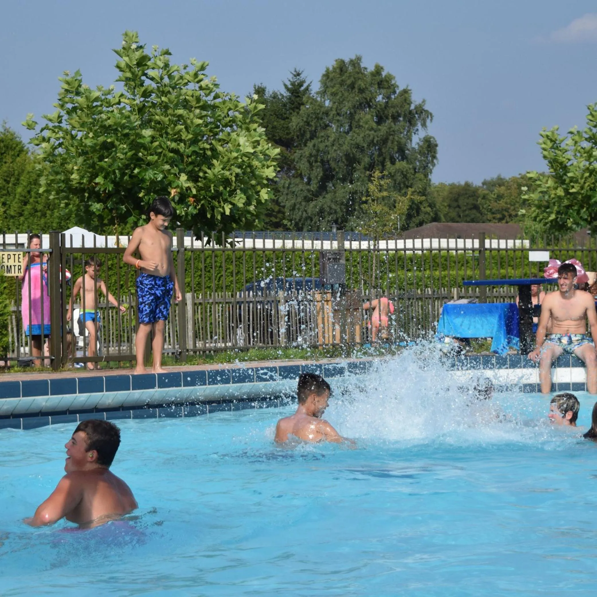 Swimming pool in Recreatiepark de Boshoek