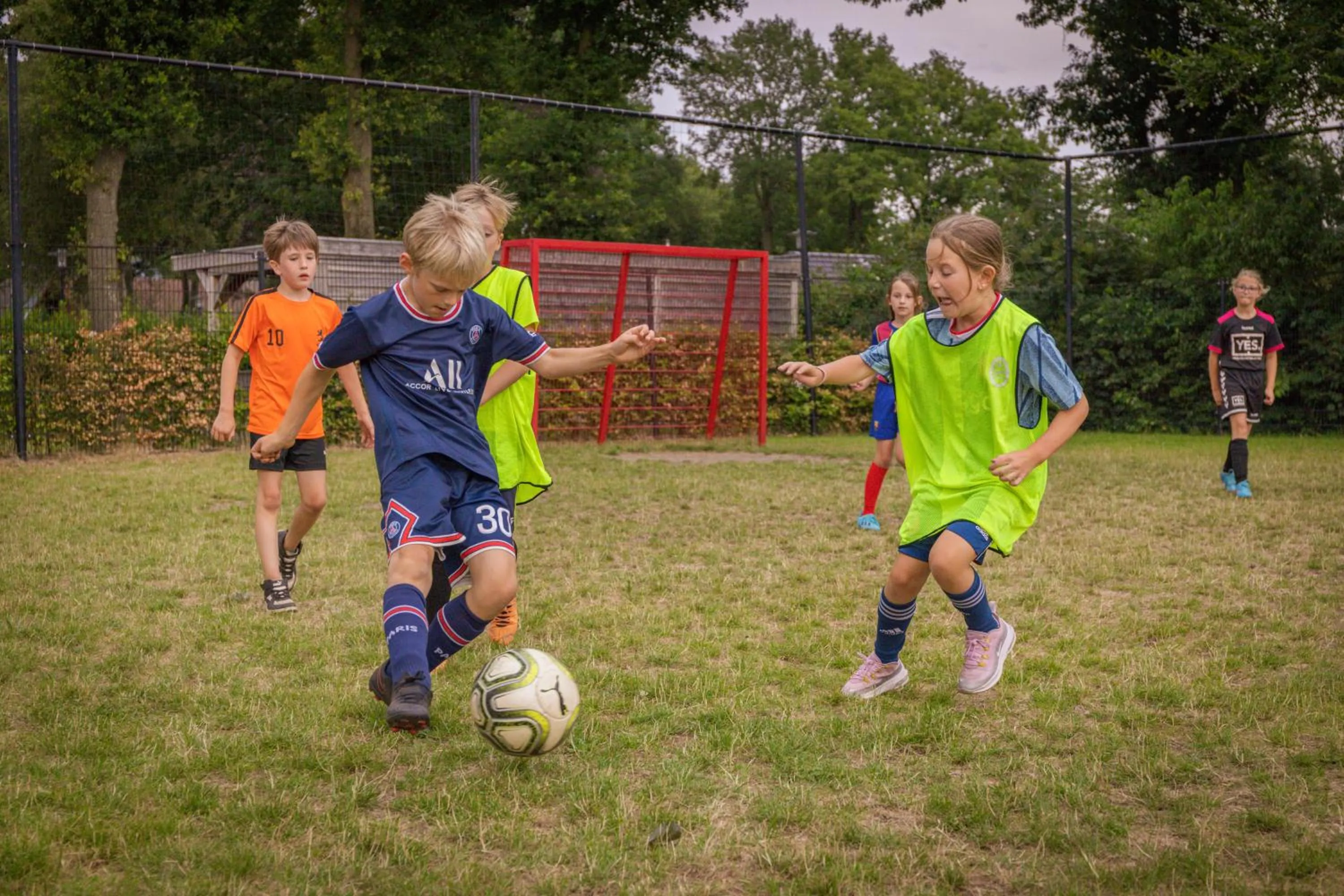 Sports in Recreatiepark de Boshoek