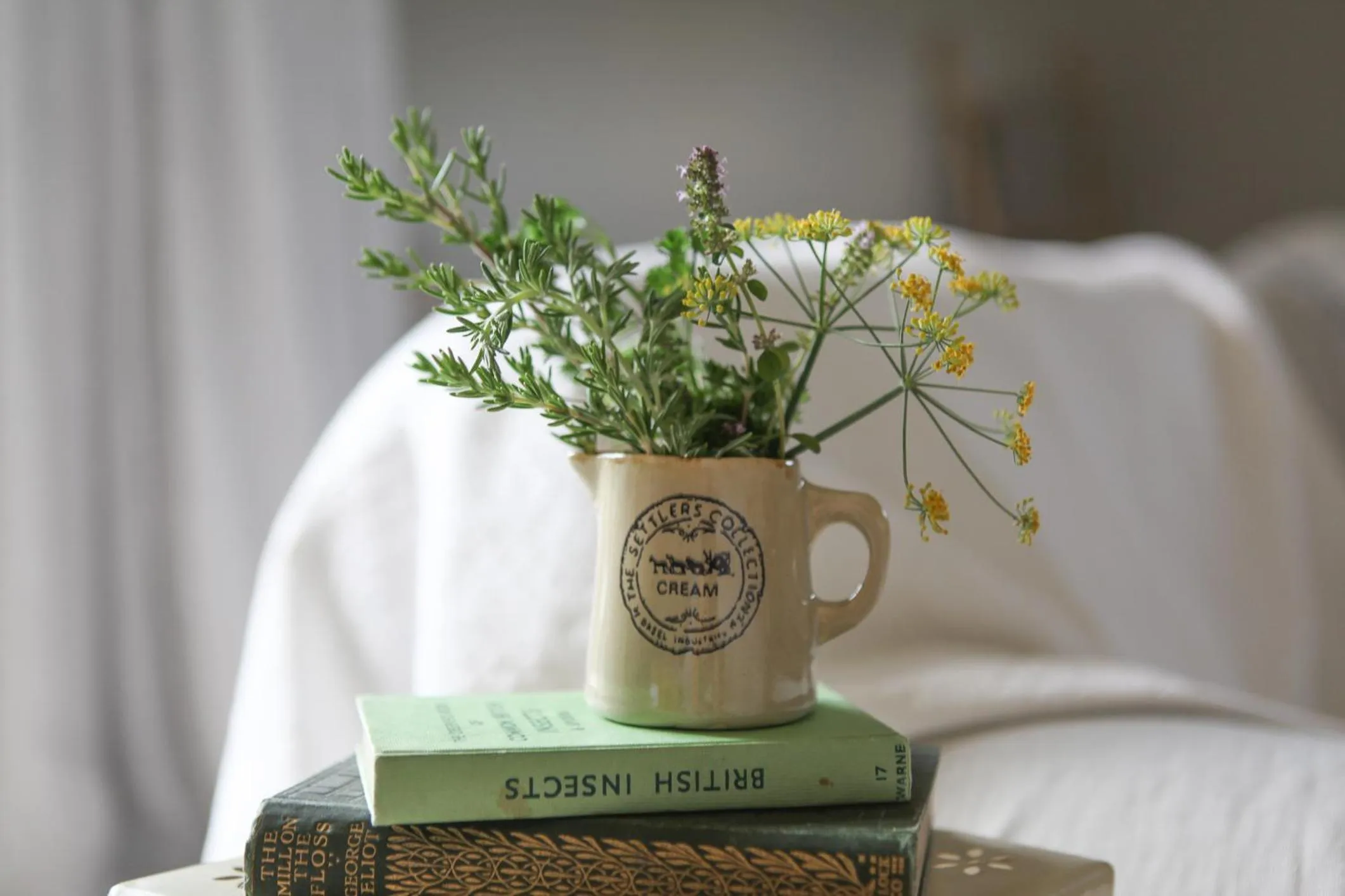 Cedar Park Bed & Breakfast