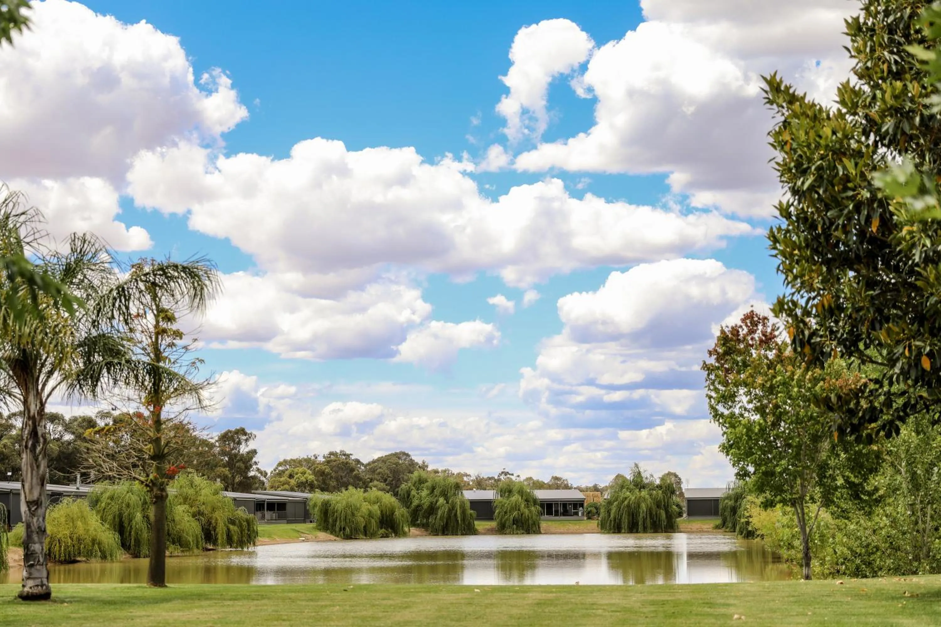 River view in Discovery Parks - Moama Waters
