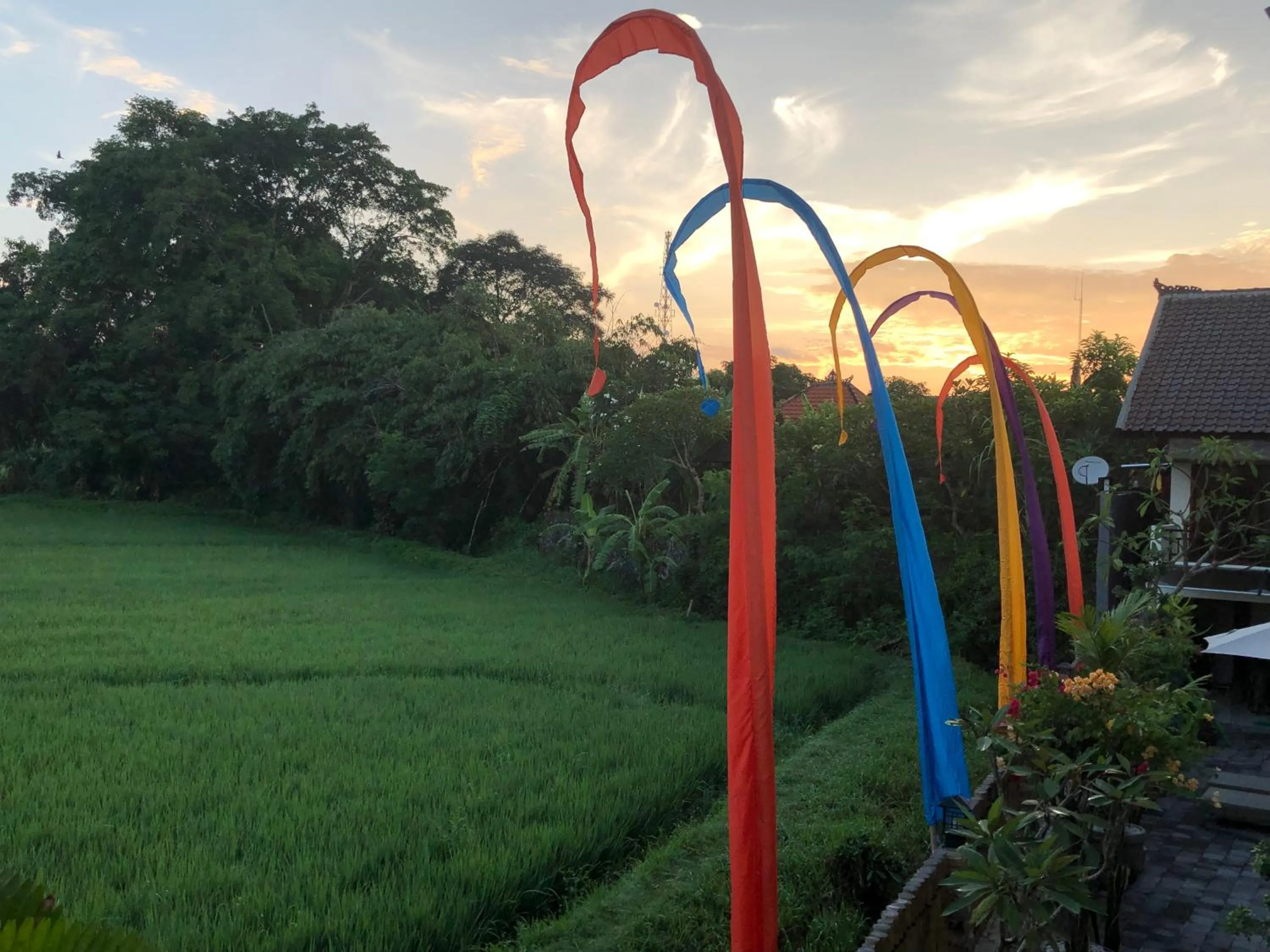 View (from property/room) in DeRose Guest House