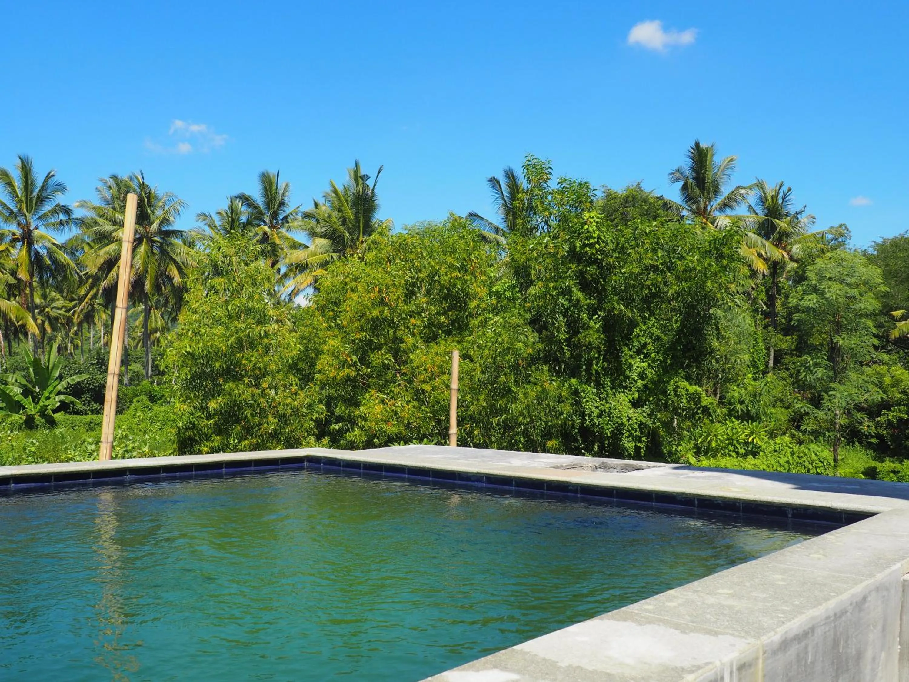 Honeybee Homestay