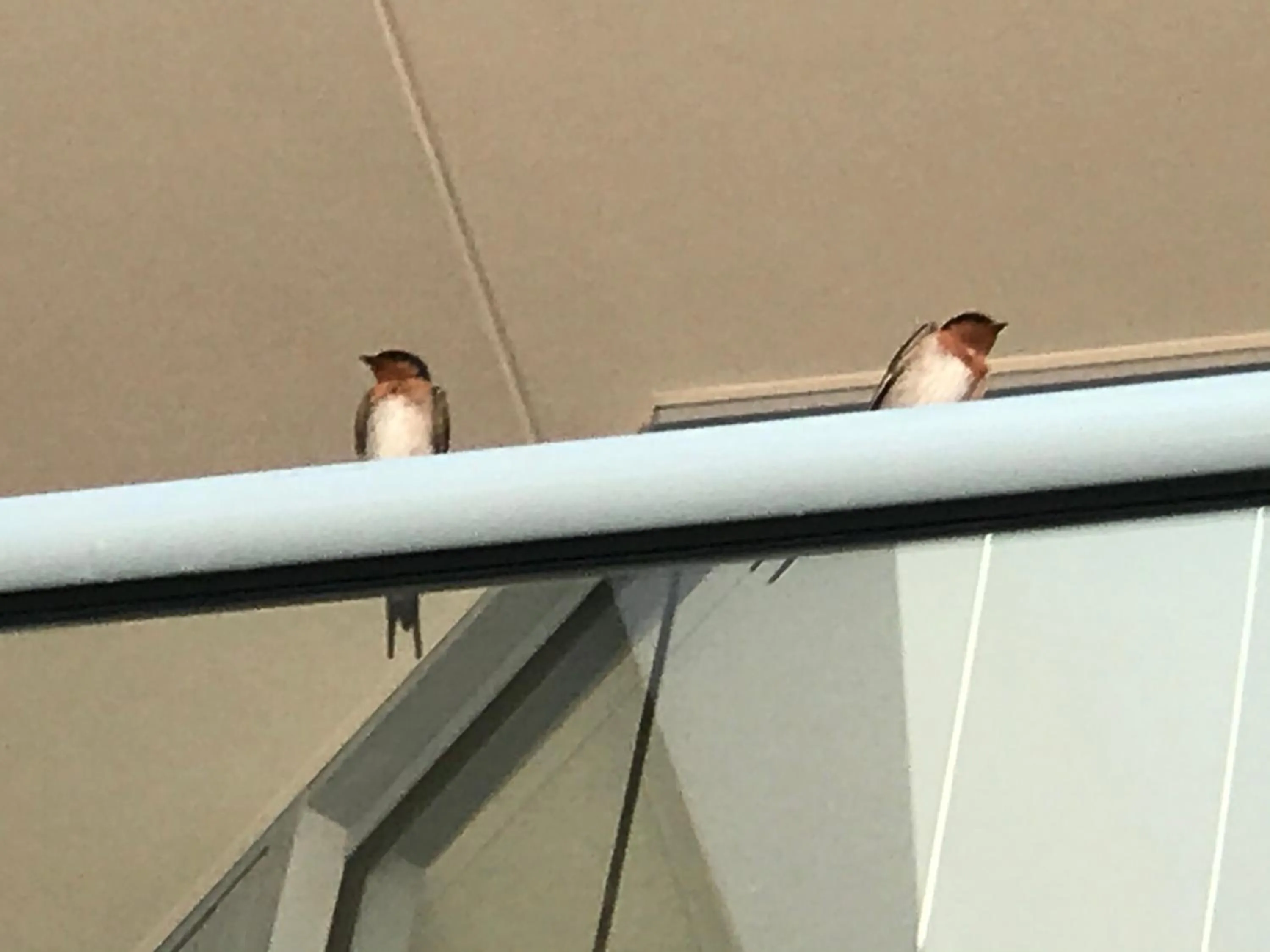 Street view in XYL Holiday Inn