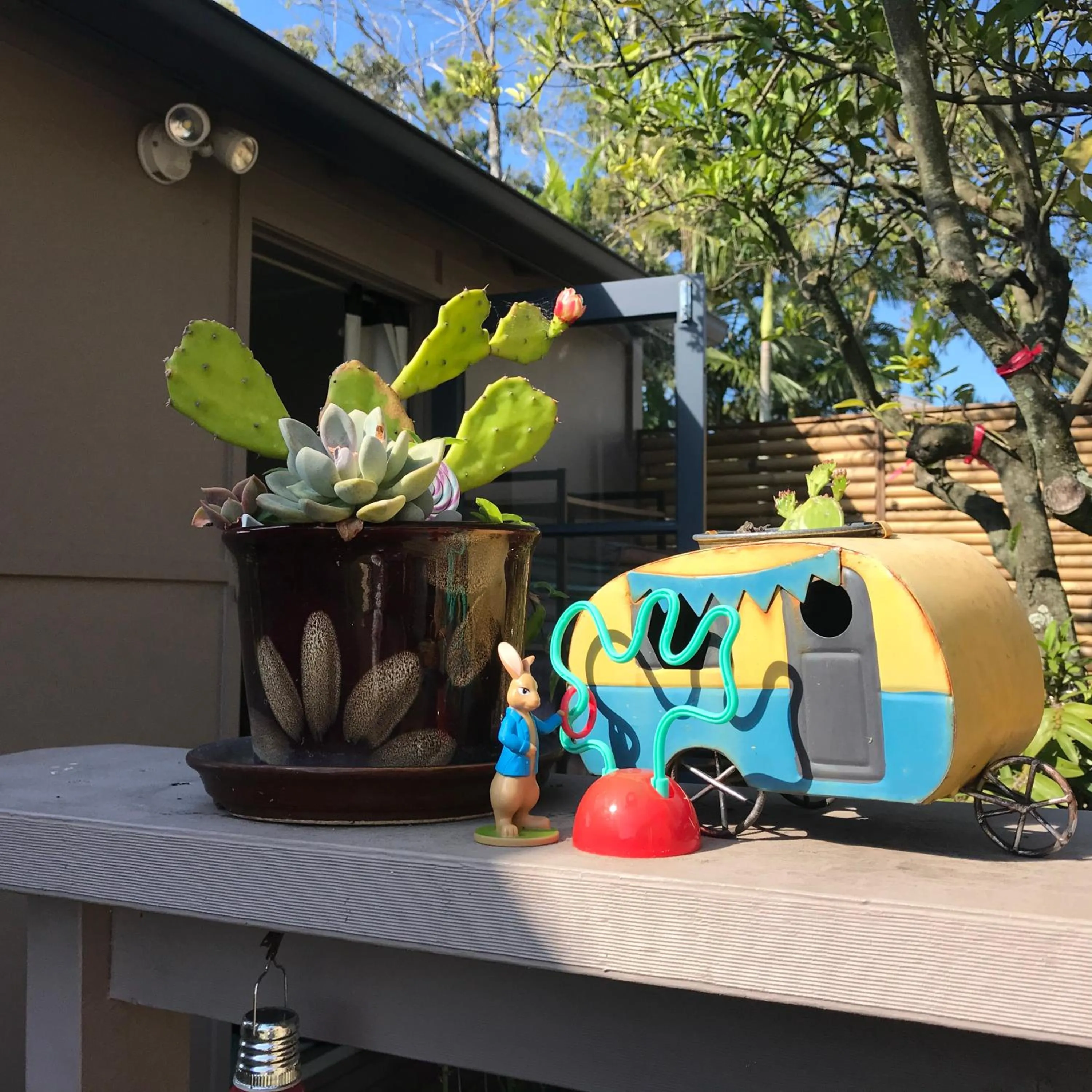 Garden view in XYL Holiday Inn