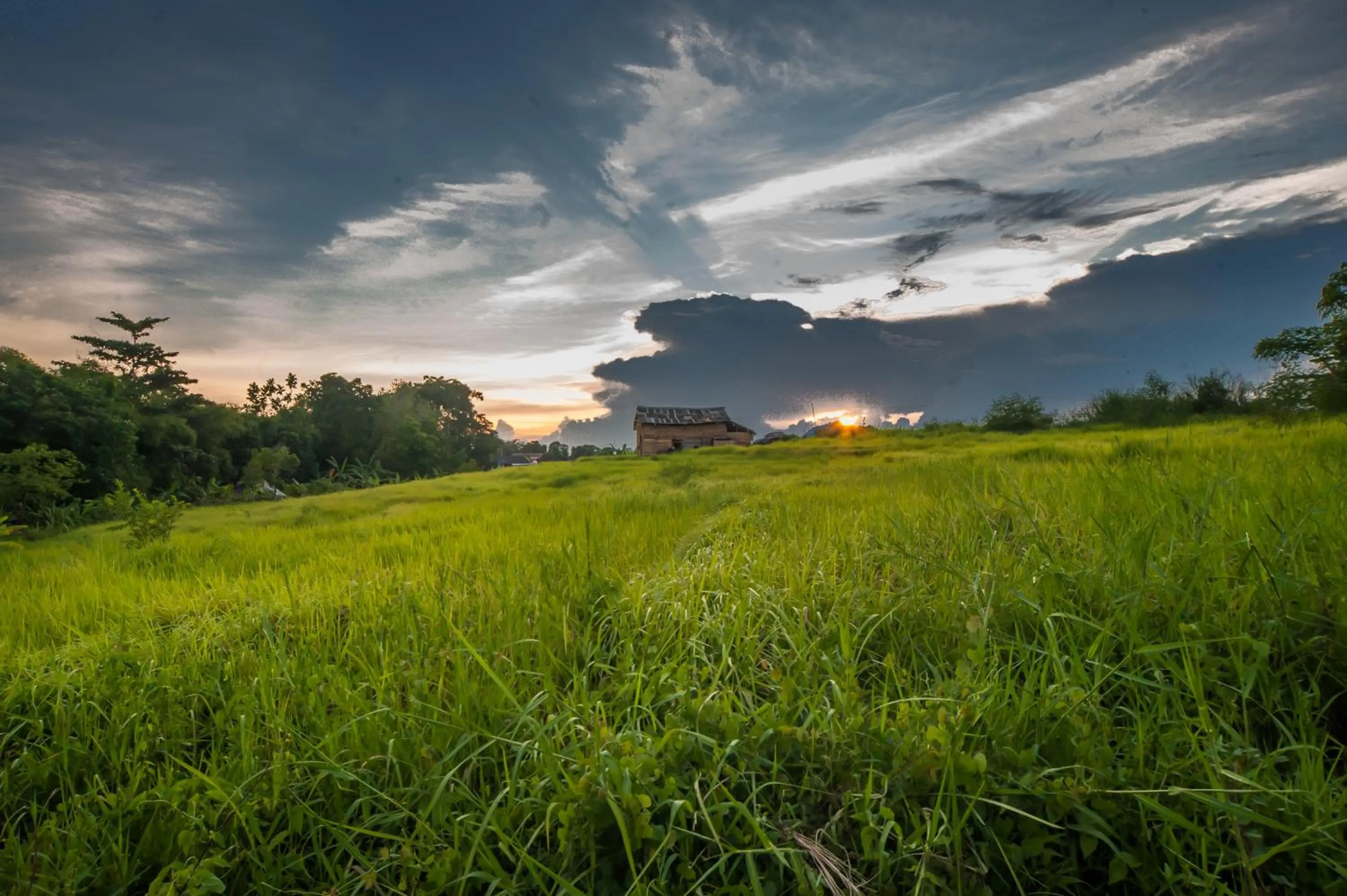 Off site in The Lebak Canggu