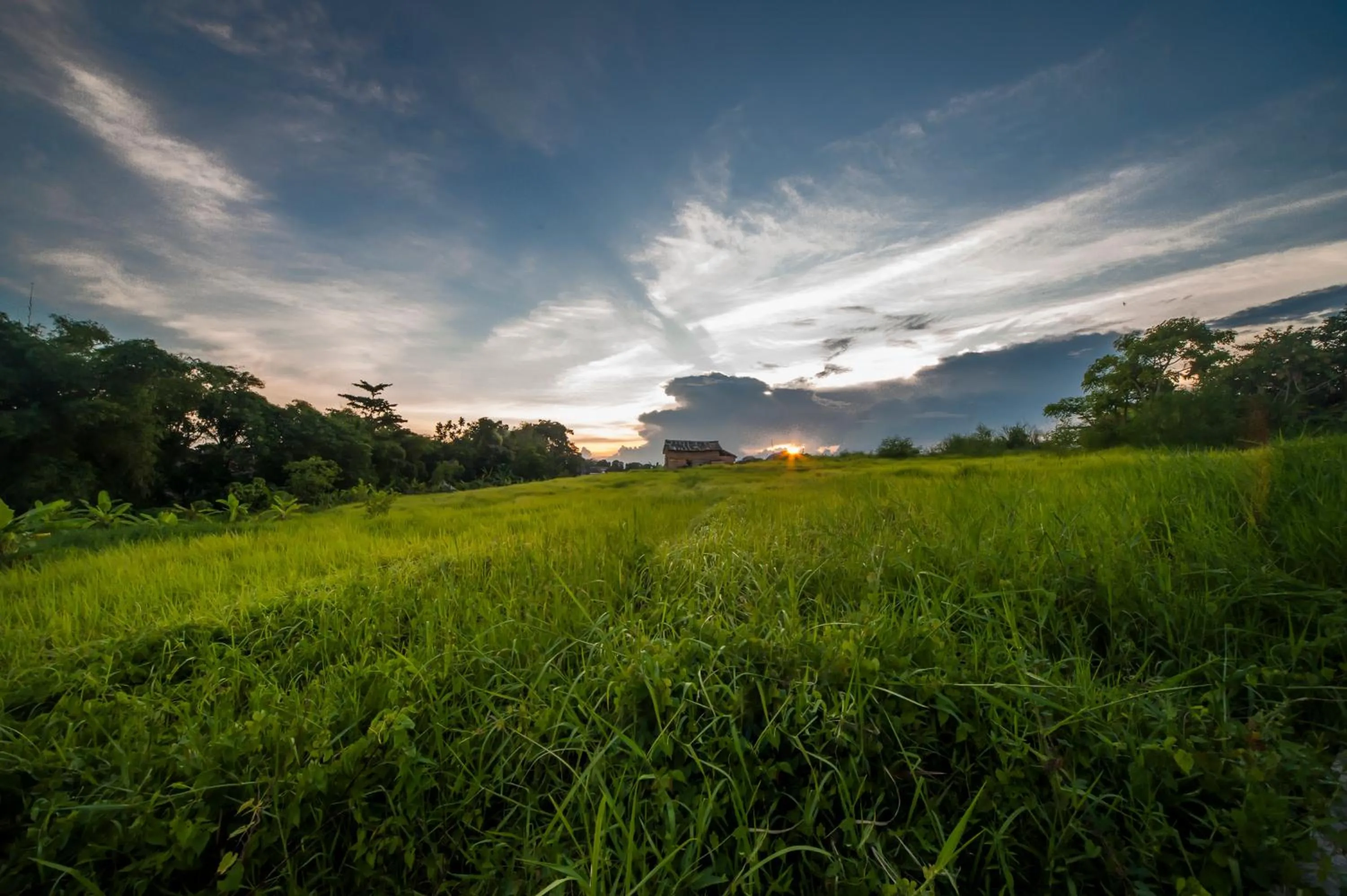 Off site in The Lebak Canggu
