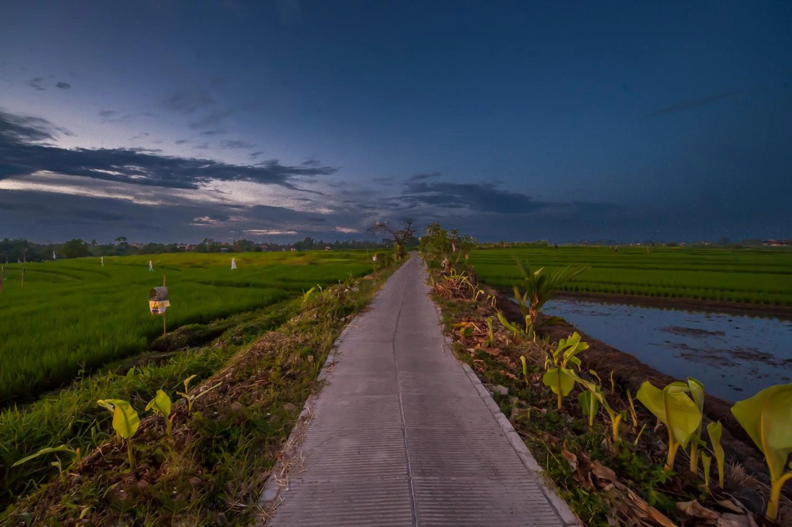 Off site in The Lebak Canggu