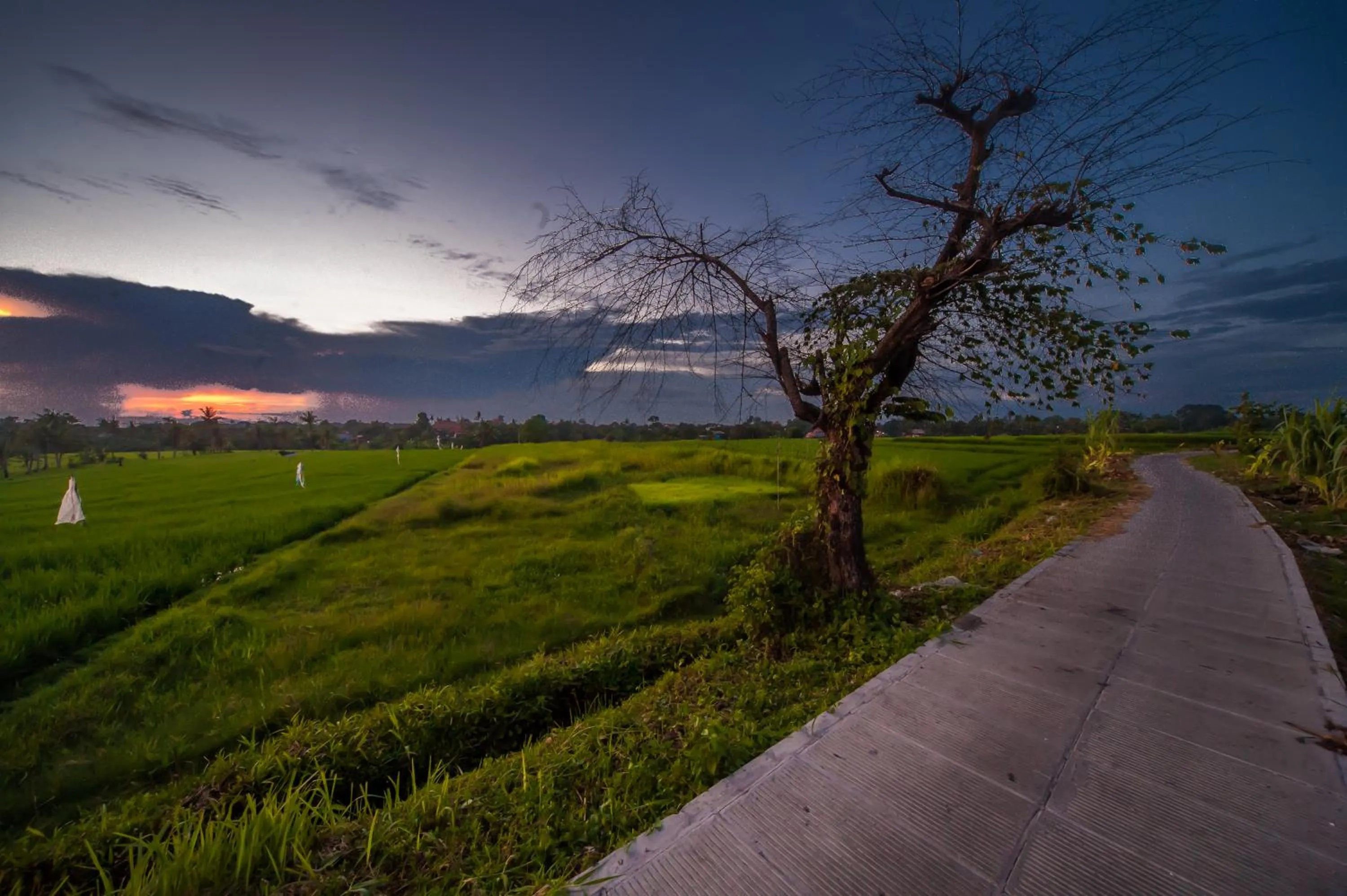 Off site in The Lebak Canggu