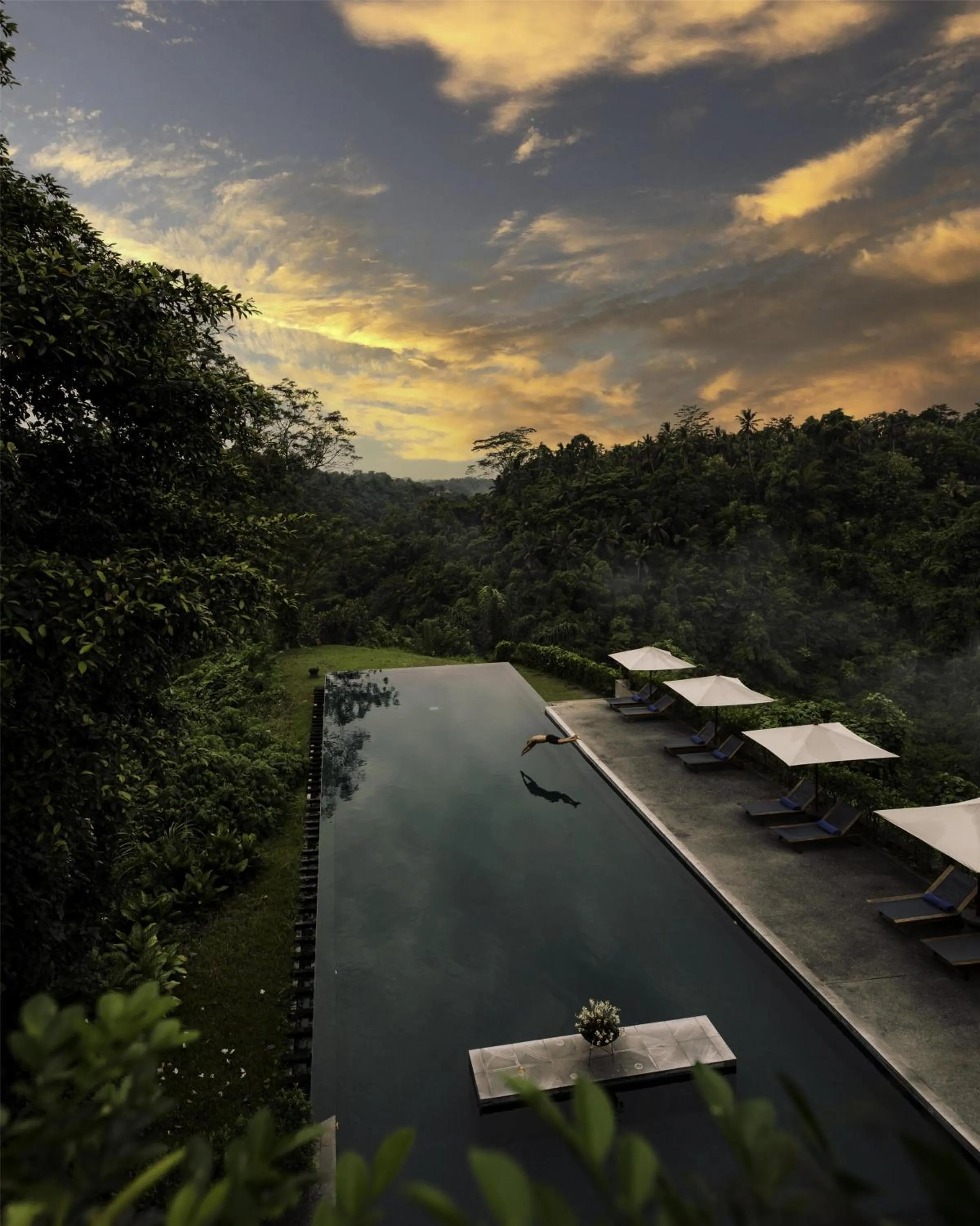 Swimming pool in Alila Ubud