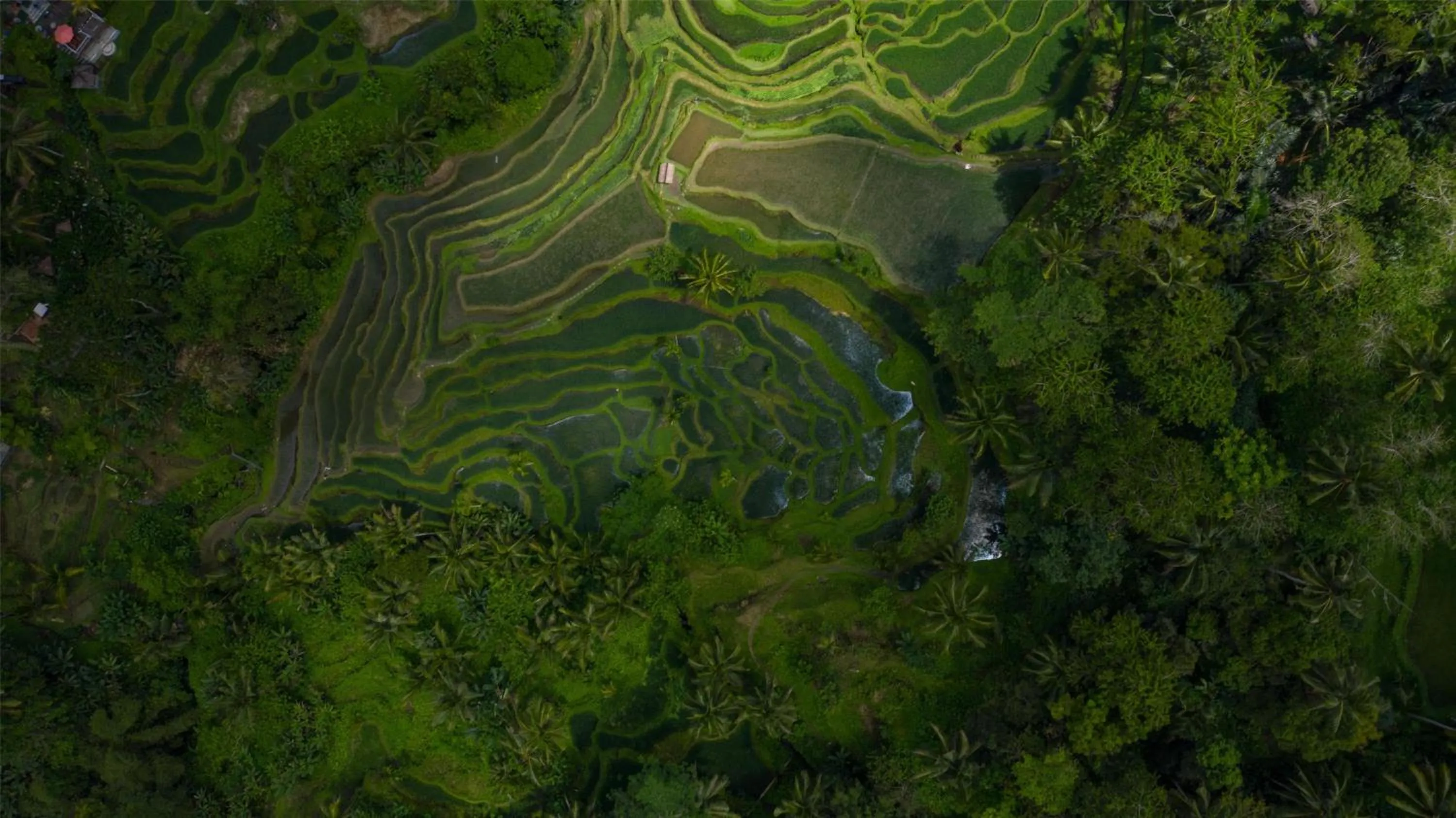 Location in Alila Ubud