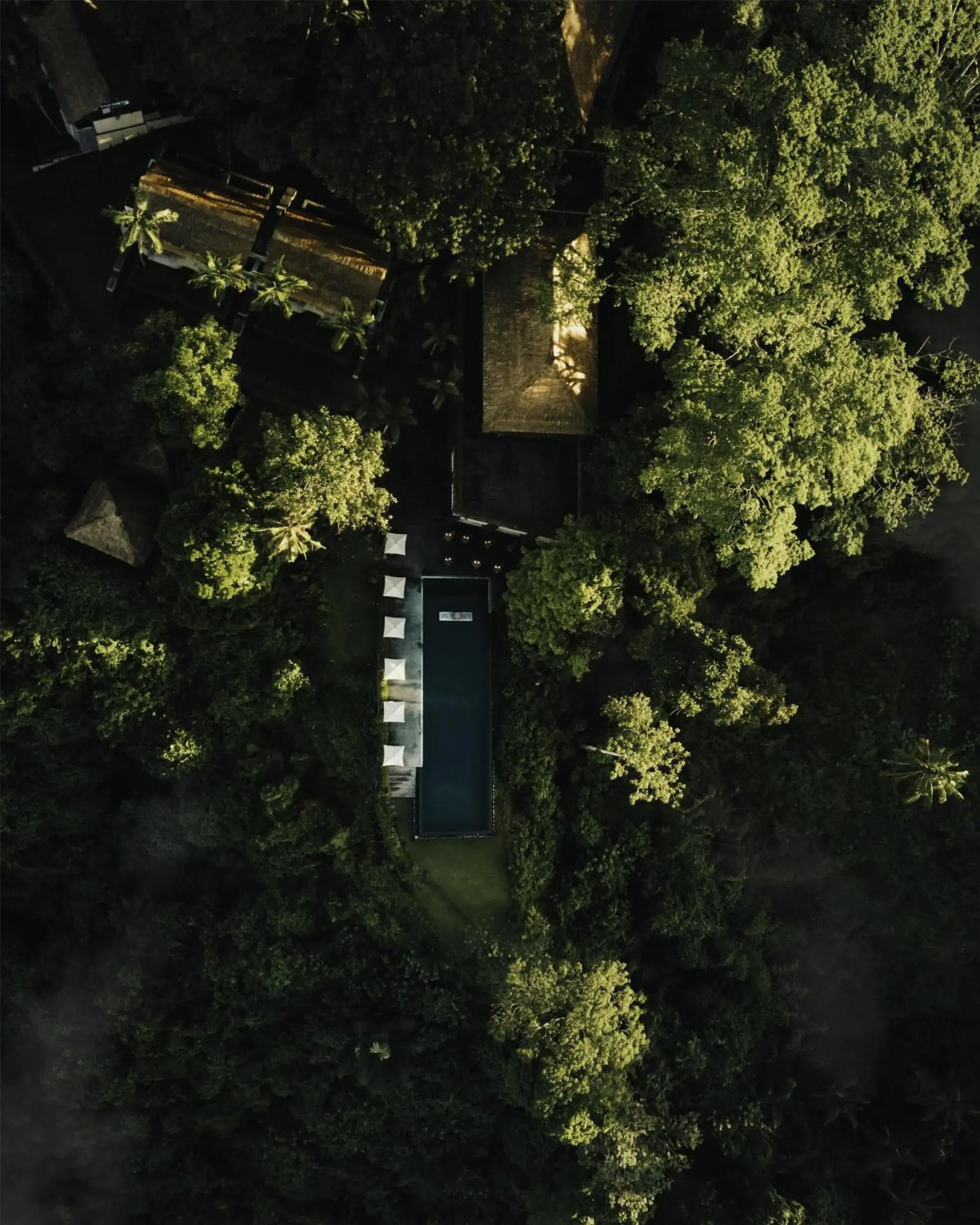 Property building in Alila Ubud Property building in Alila Ubud