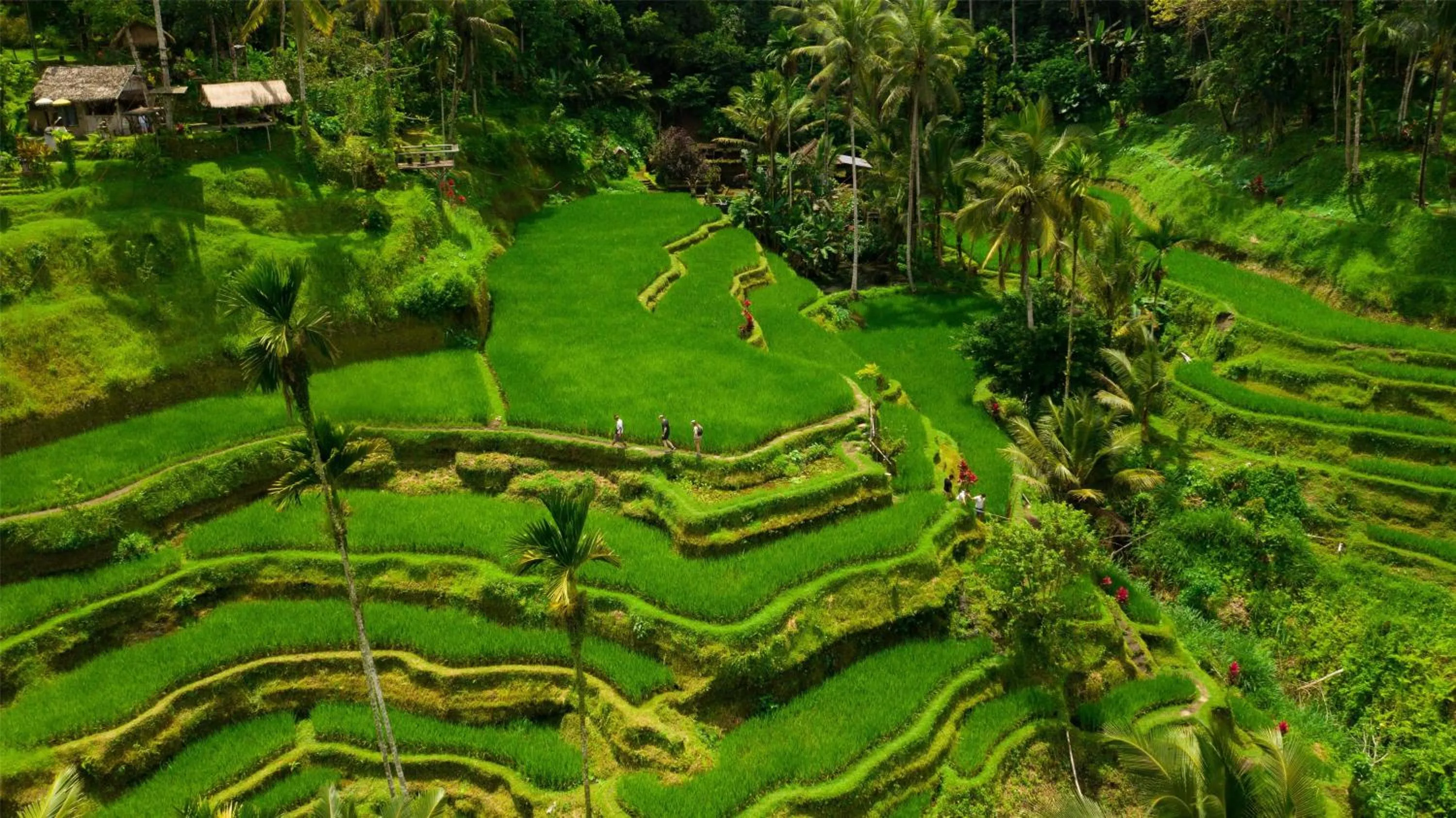 Location in Alila Ubud
