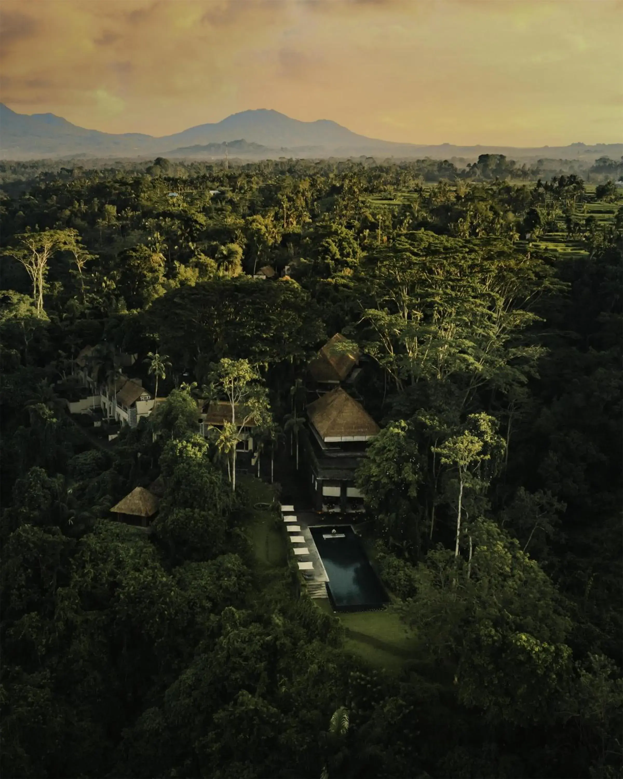 Property building in Alila Ubud Property building in Alila Ubud