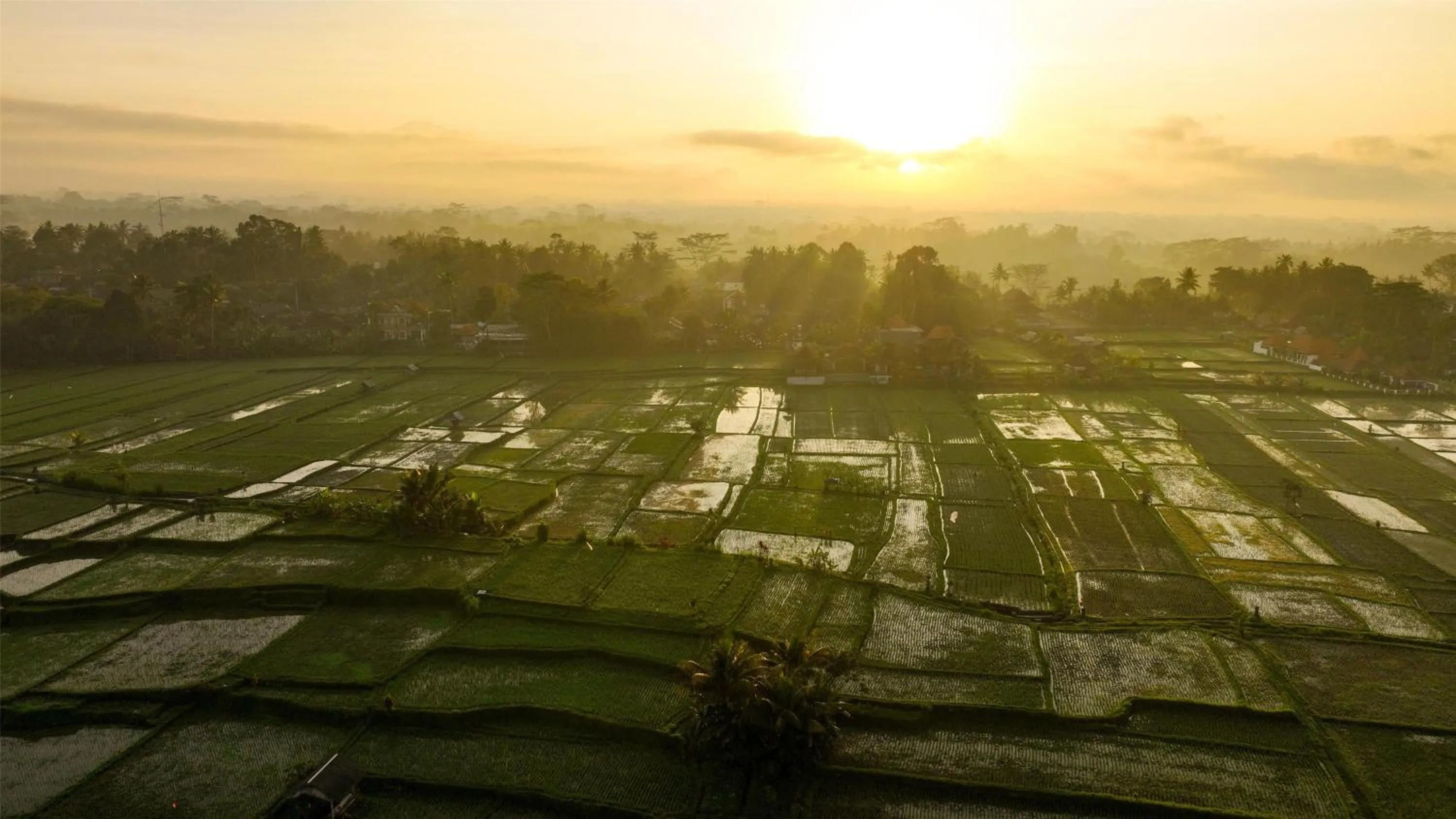 Location in Alila Ubud