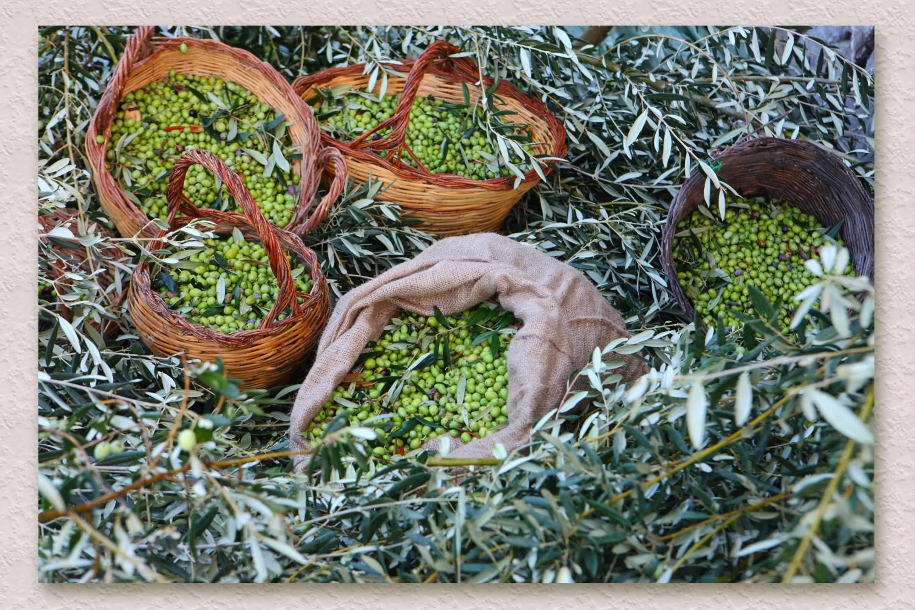 Other in Villa Ketty Resort