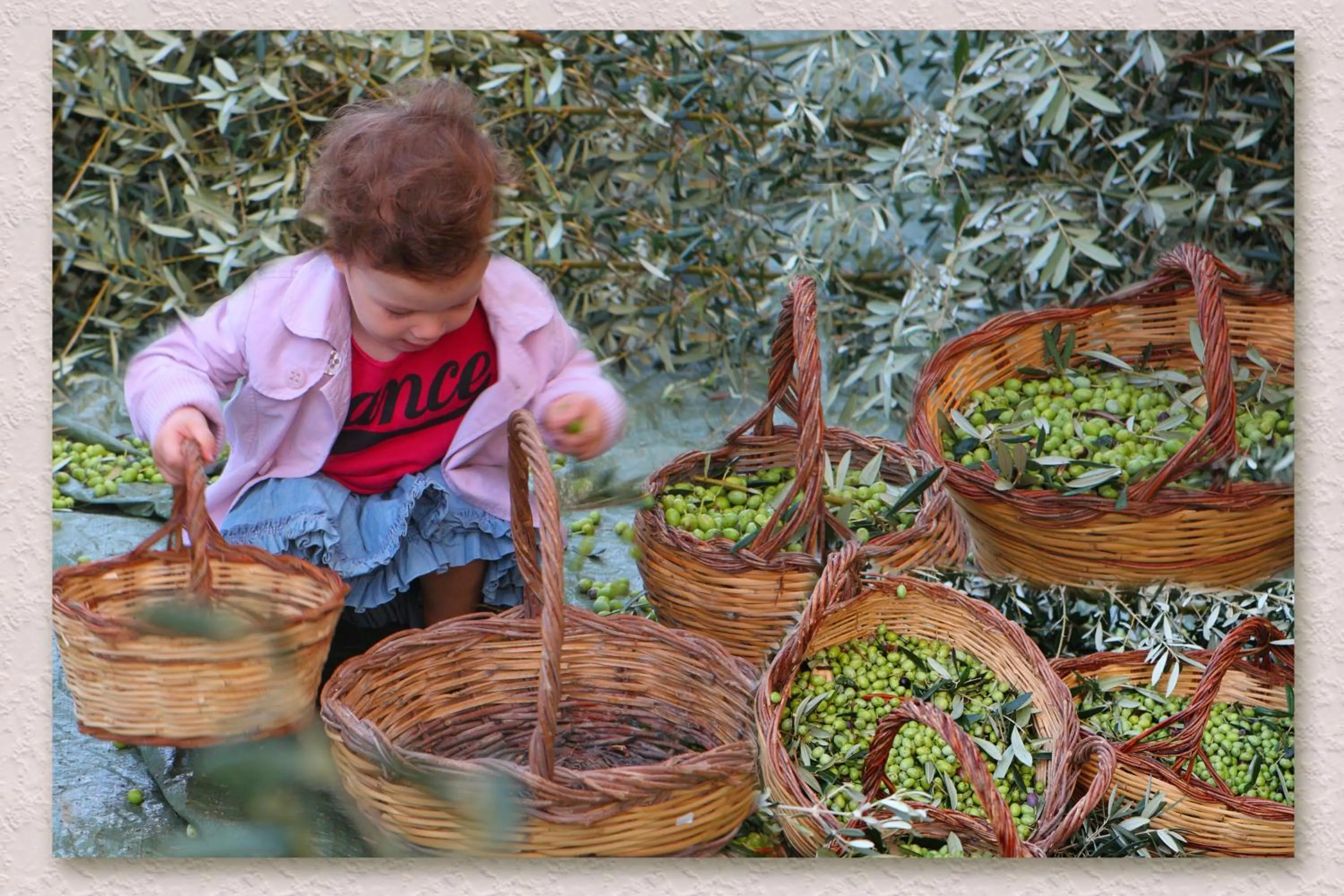 Other in Villa Ketty Resort