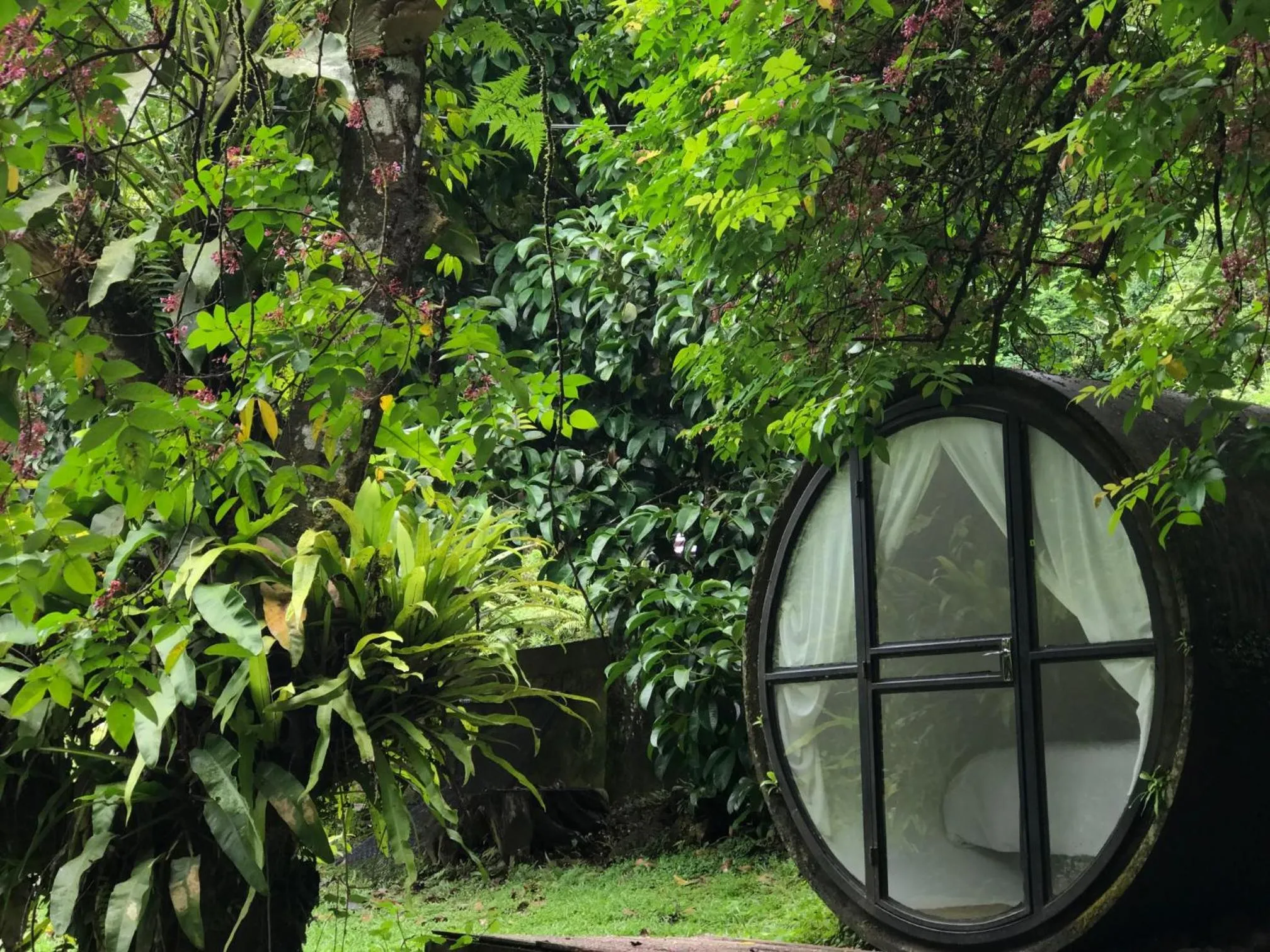 Day in Time Capsule Retreat, Sungai Lembing