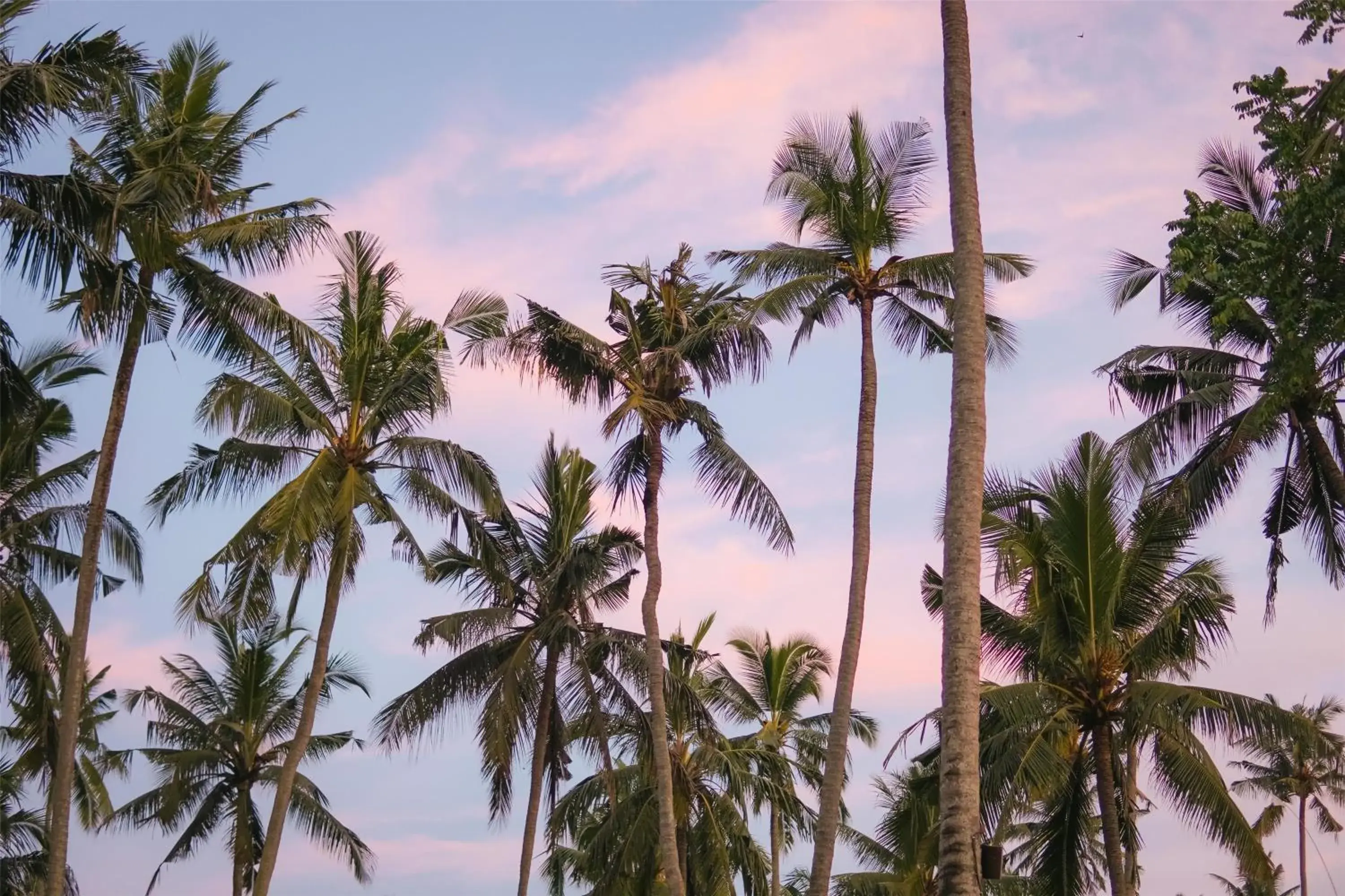 Property building in Alila Manggis Property building in Alila Manggis