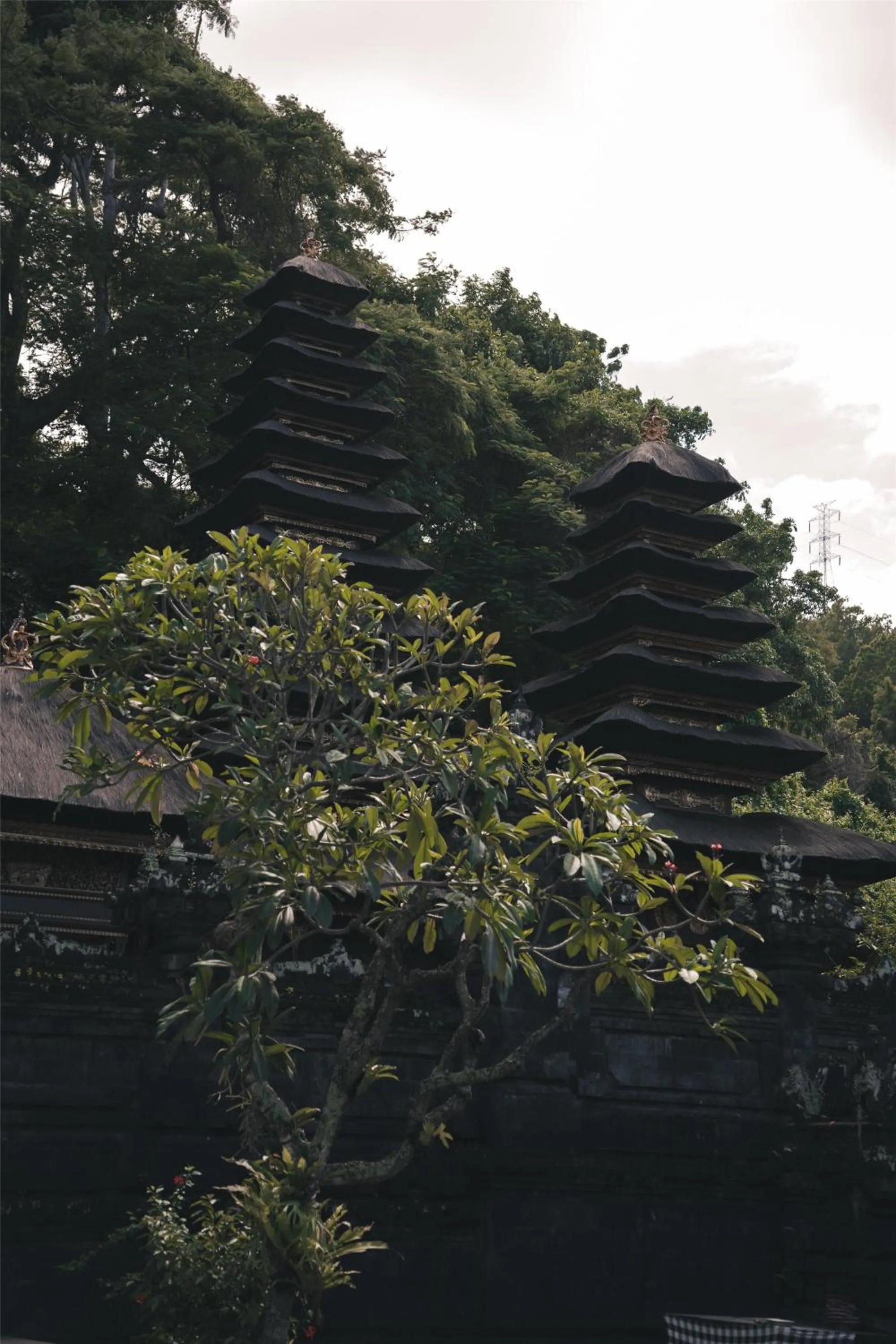 Location in Alila Manggis