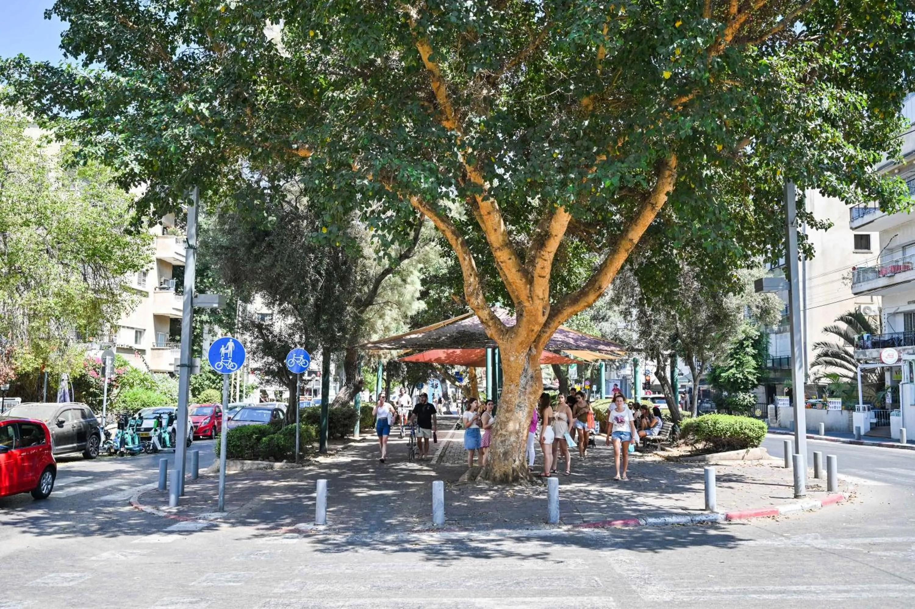 Natural landscape in Cozy 2BR in Ben Gurion blvd by HolyGuest