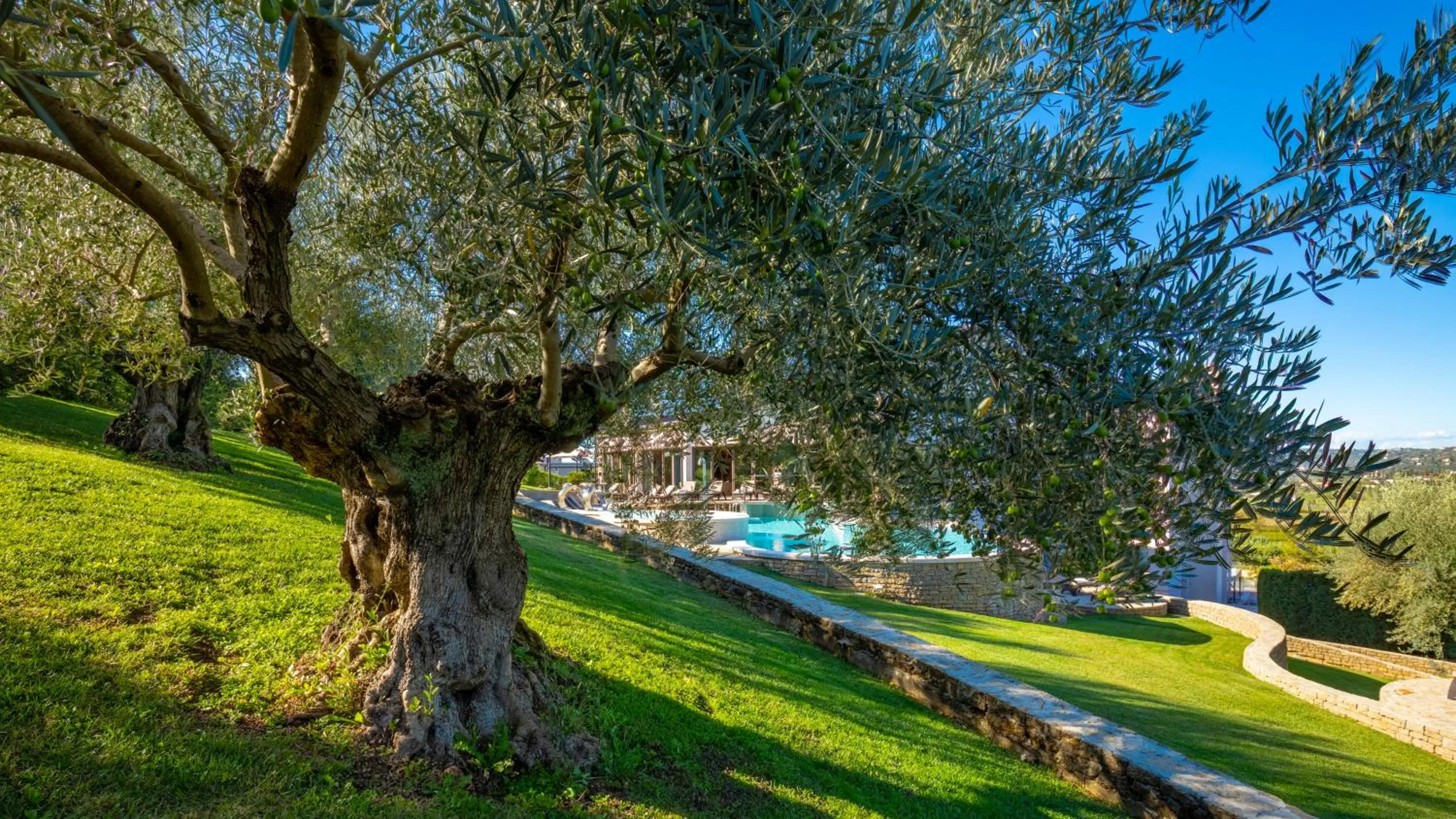 Garden in Mulino Luxury Boutique Hotel
