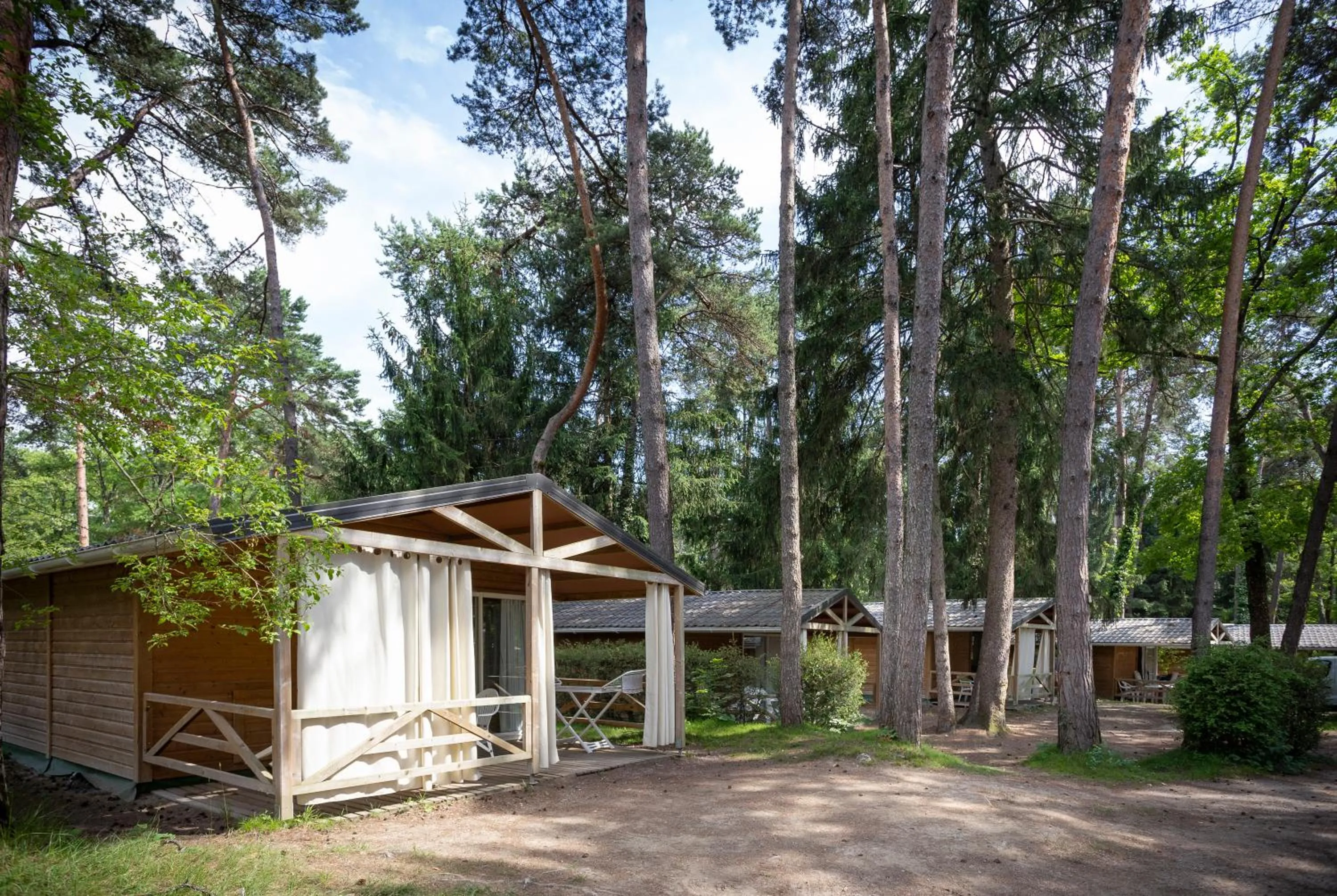 Natural landscape in Camping La Pinède