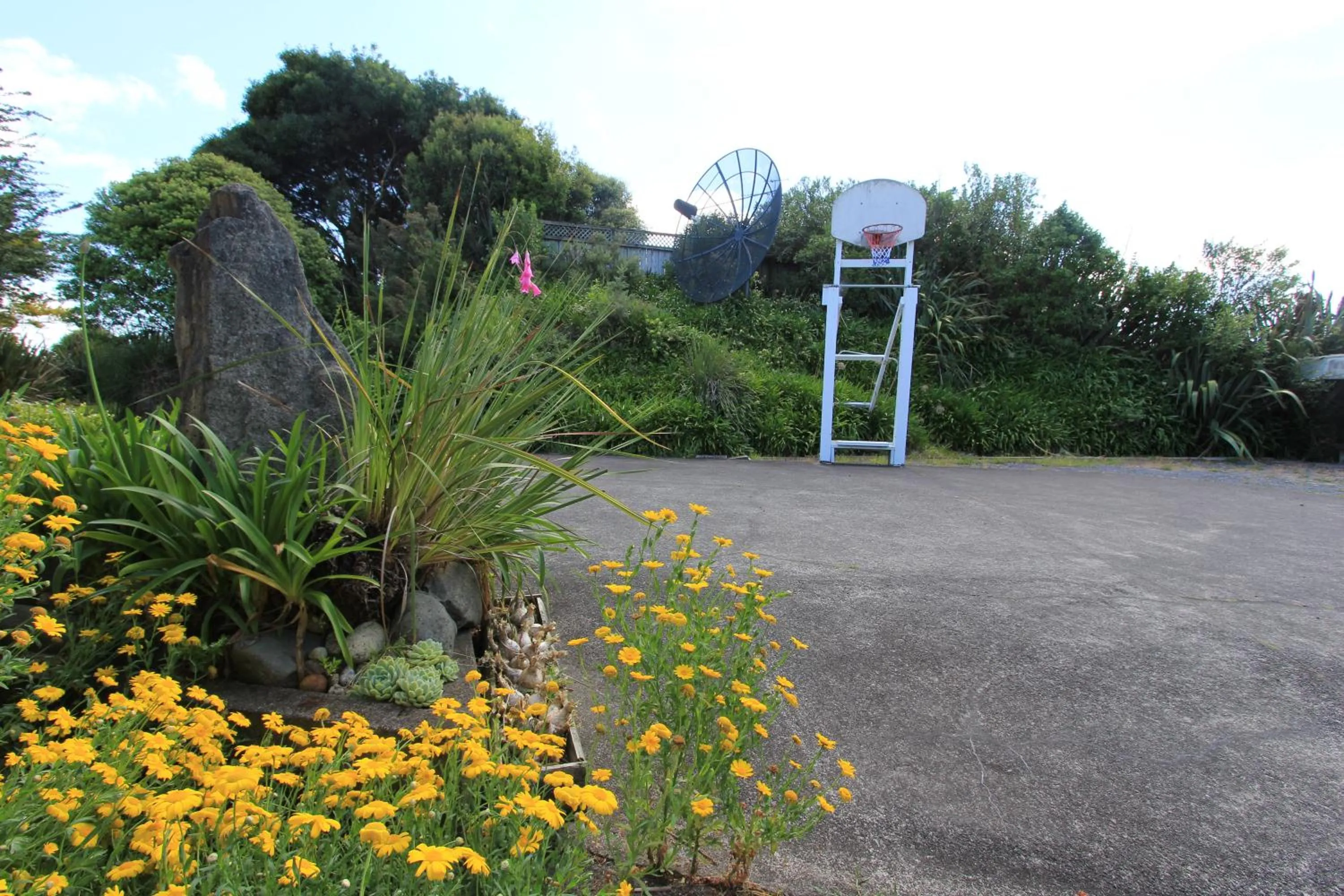 Garden in Waiuku Motel