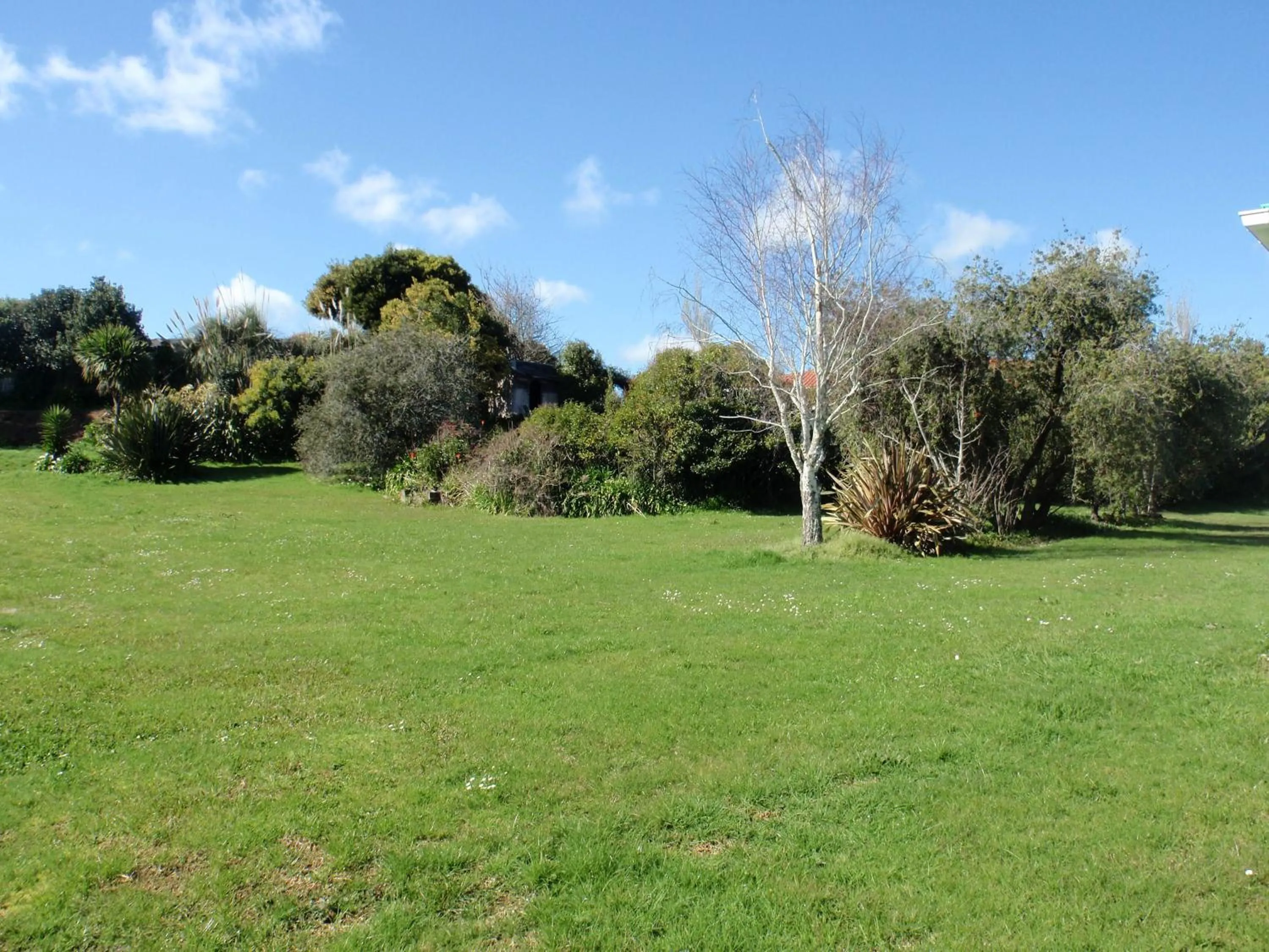 Garden in Waiuku Motel
