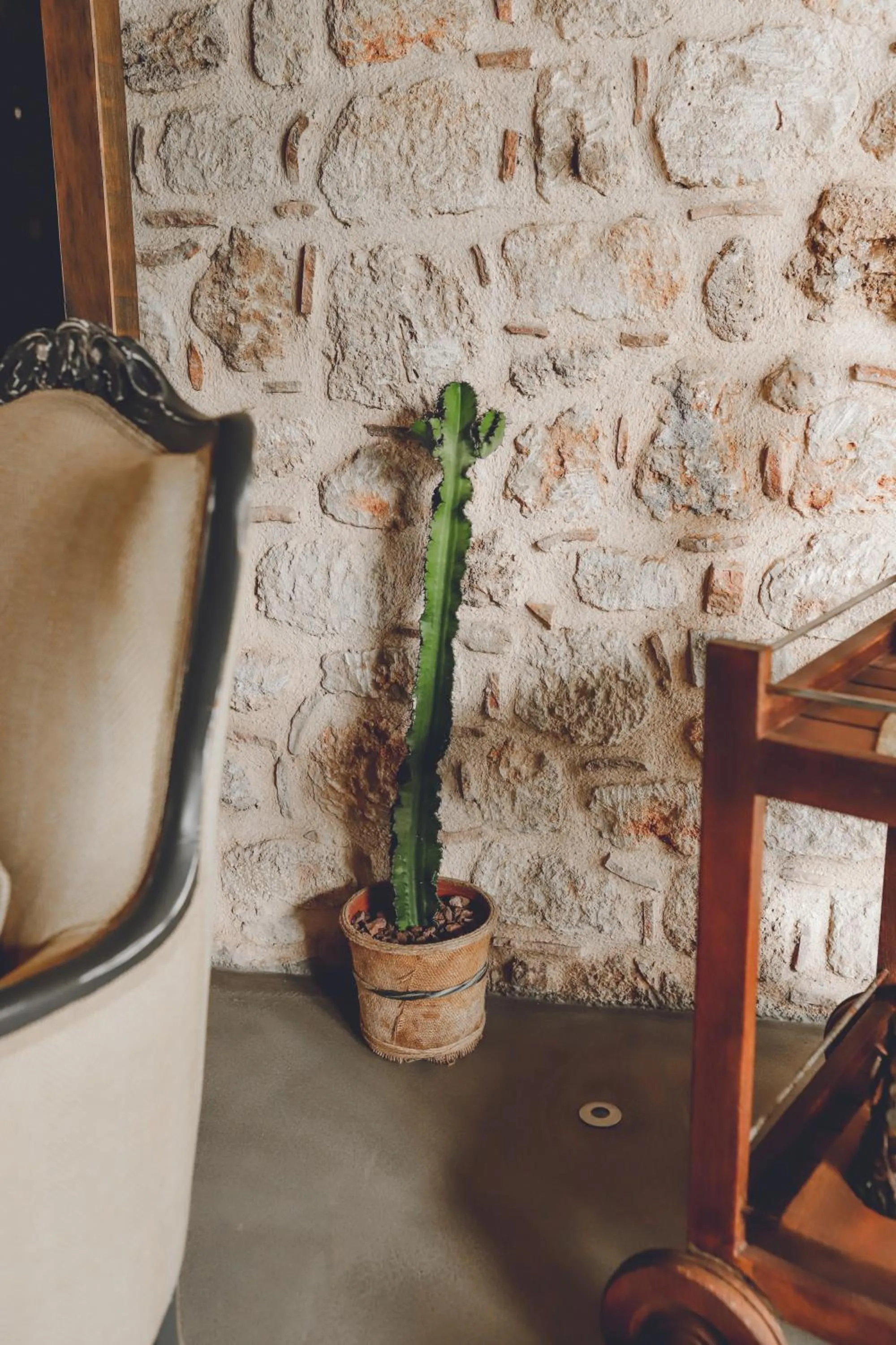 Lobby or reception in Casa Sur Antalya