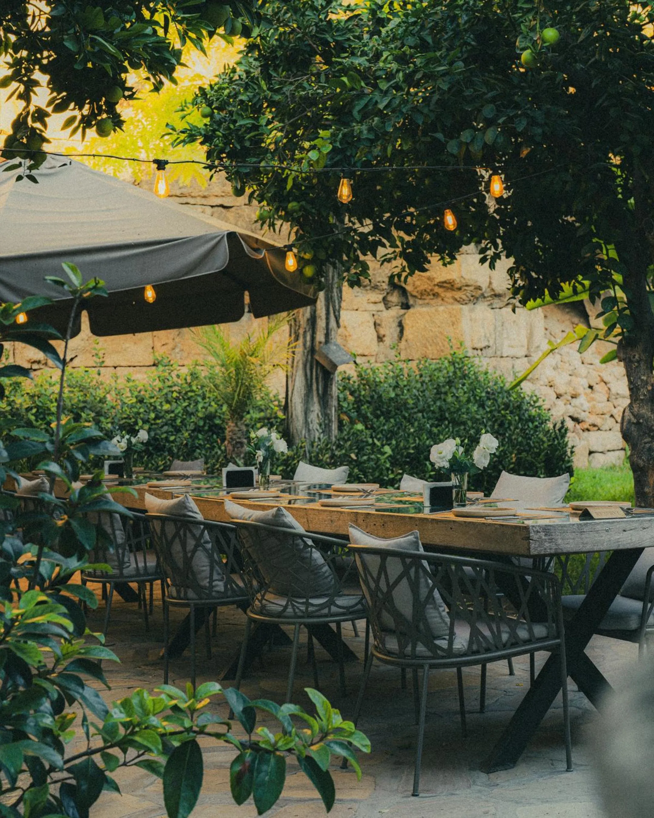 Restaurant/places to eat in Casa Sur Antalya