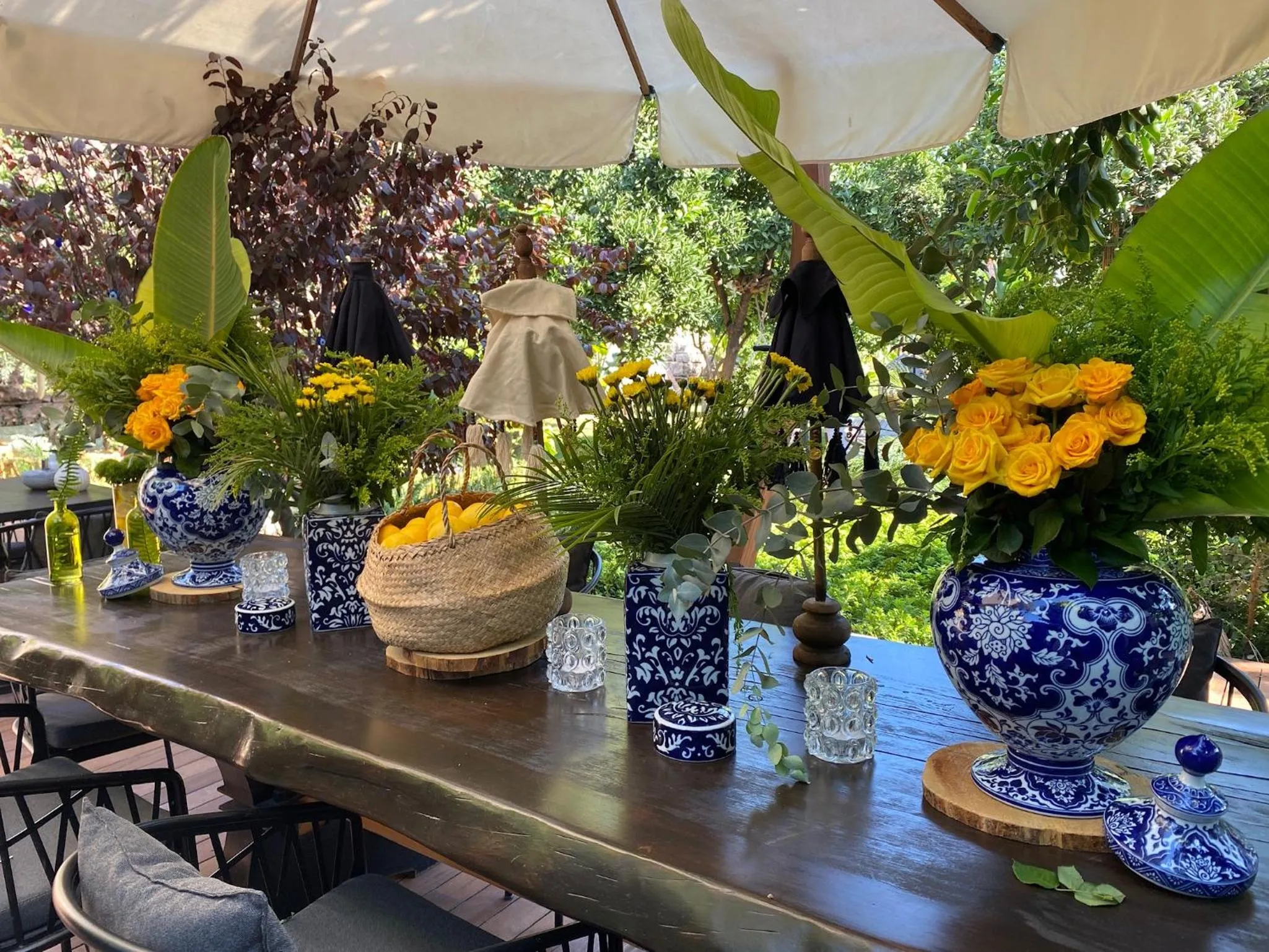 Spring in Casa Sur Antalya