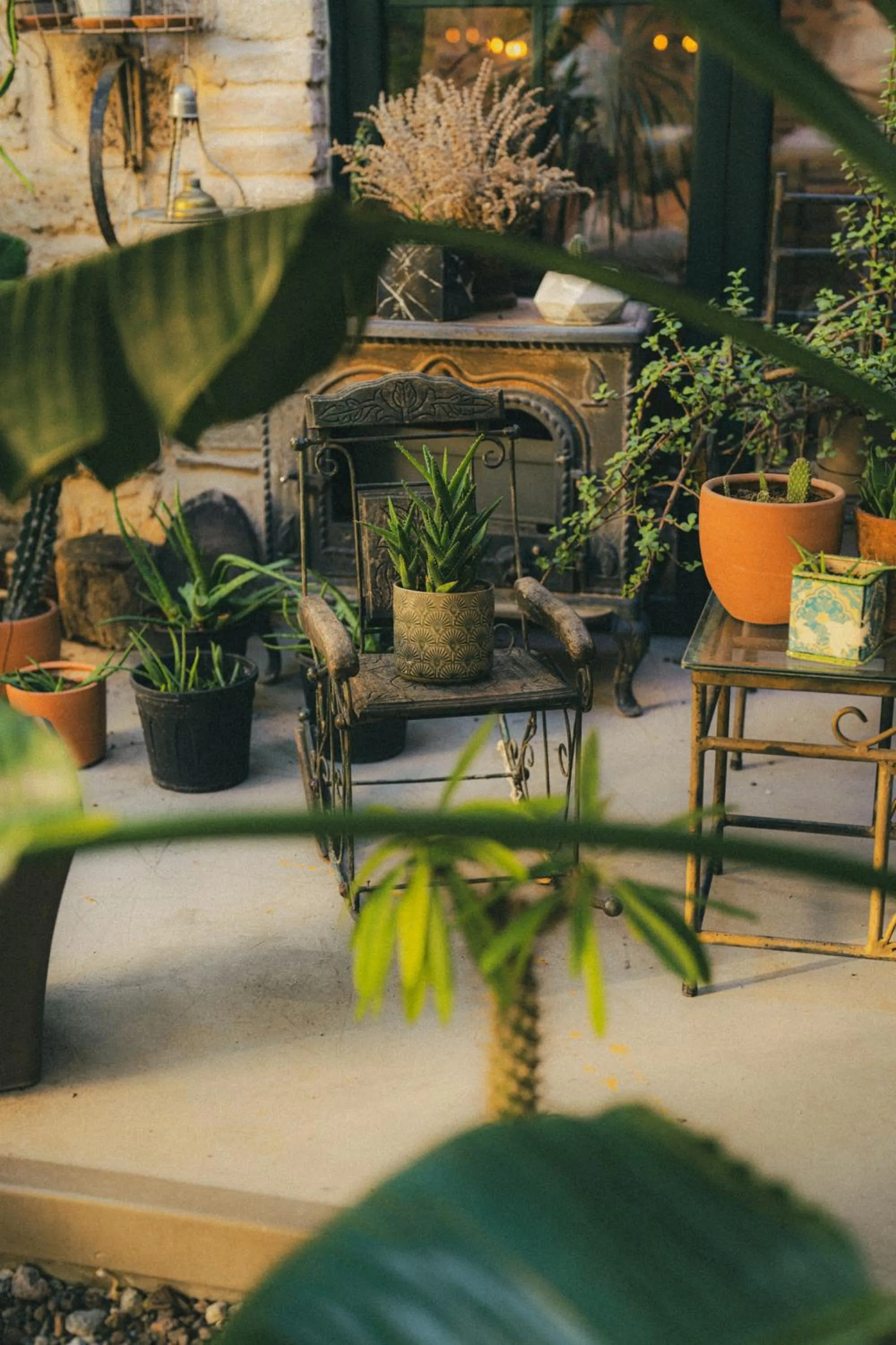 Garden in Casa Sur Antalya