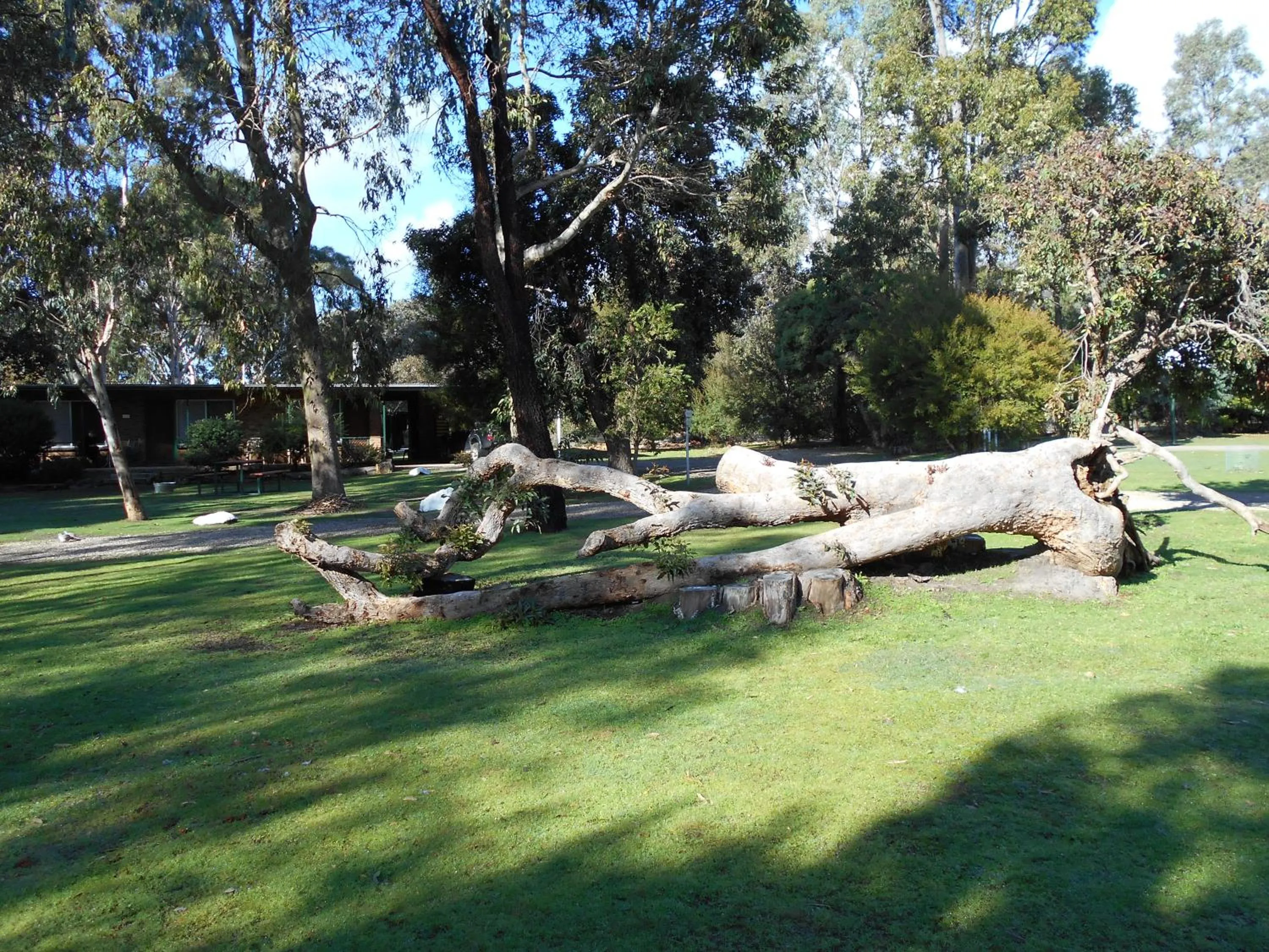 Natural landscape in Grampians View Cottages and Units