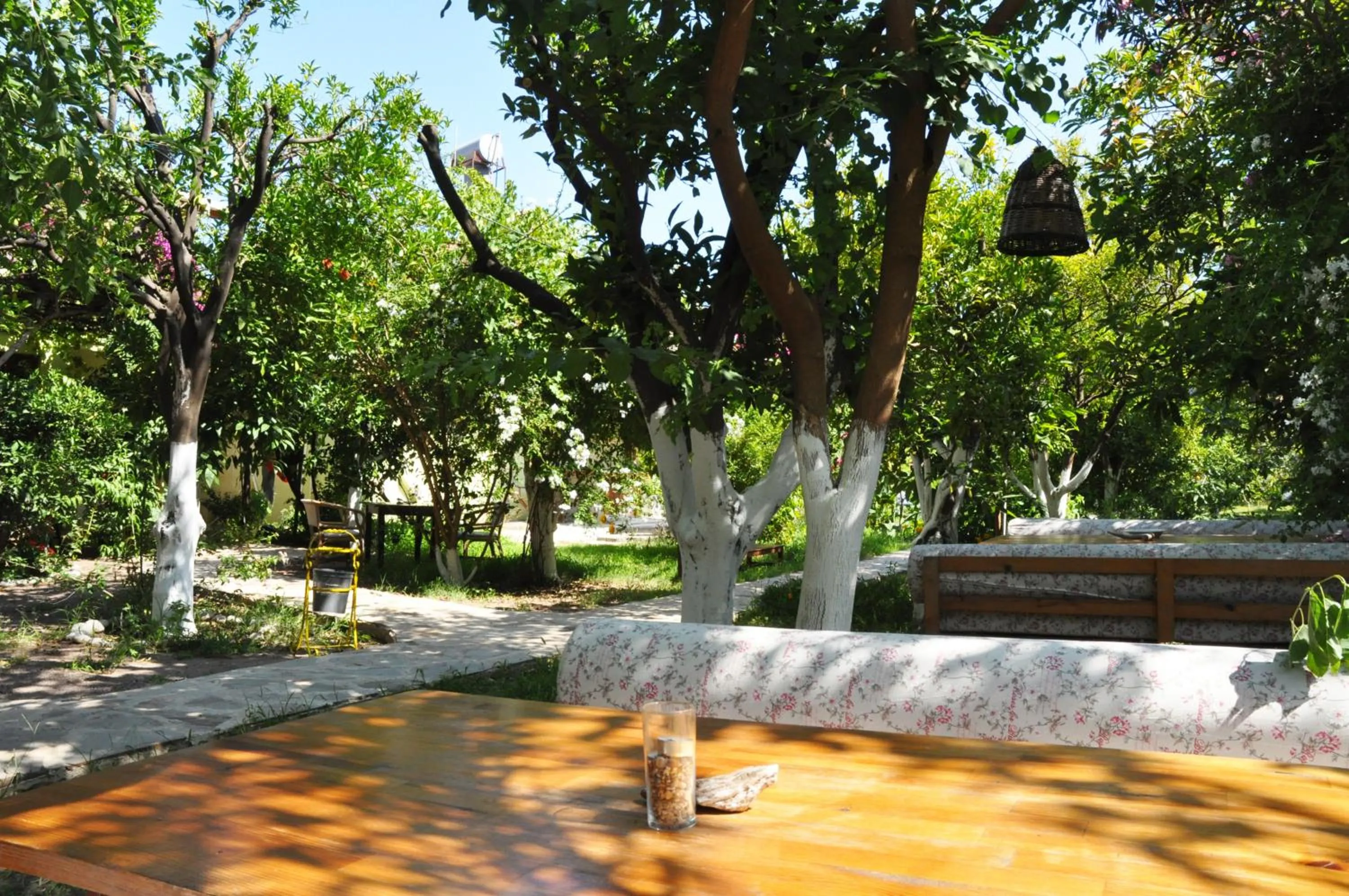 Natural landscape in San Simon Hotel