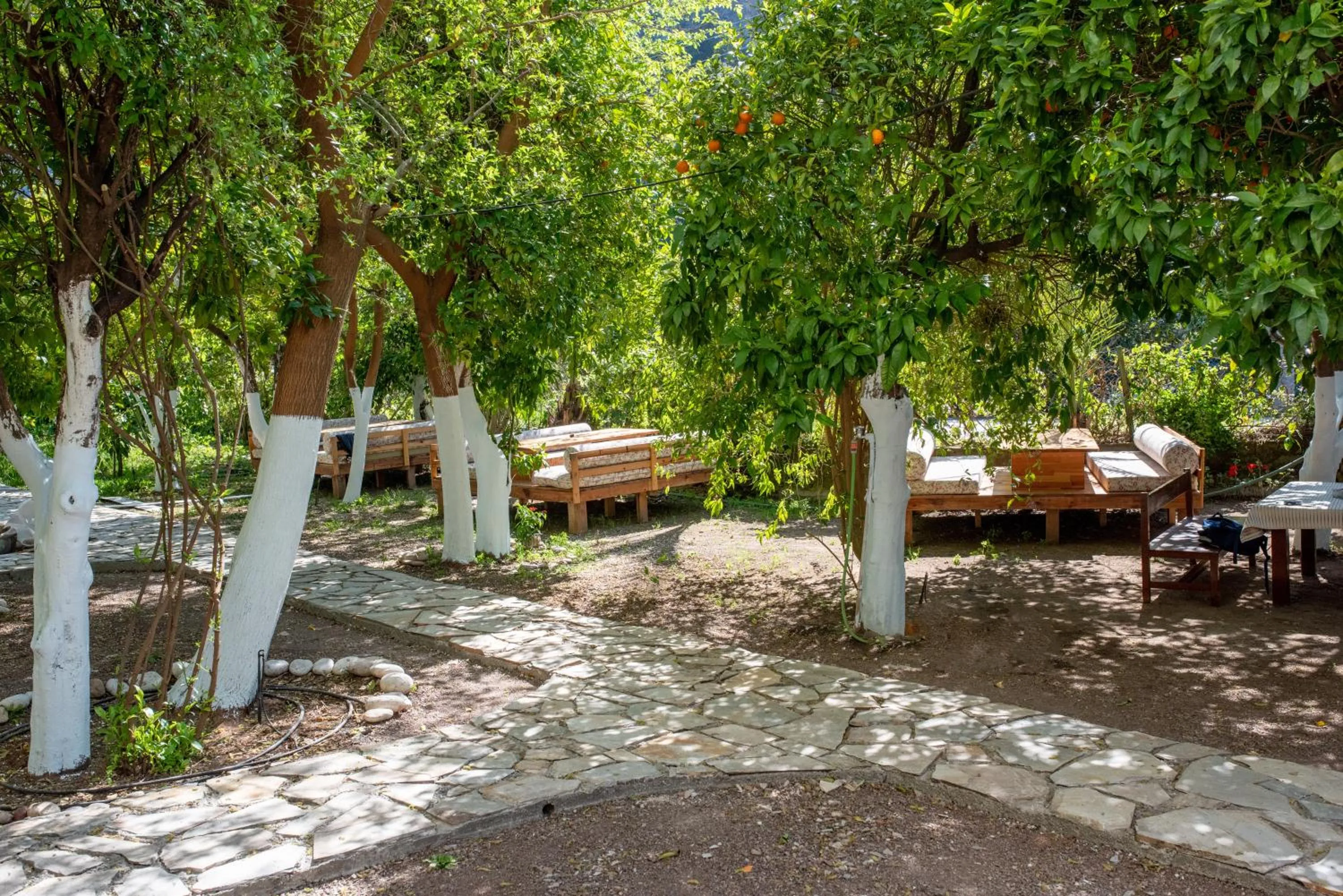 Garden view in San Simon Hotel