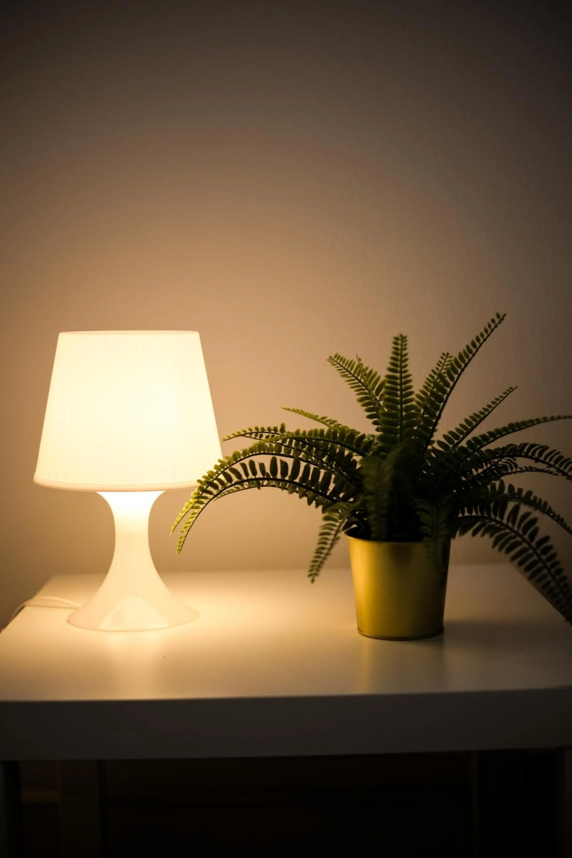 Decorative detail in Whole Wide World Hostel