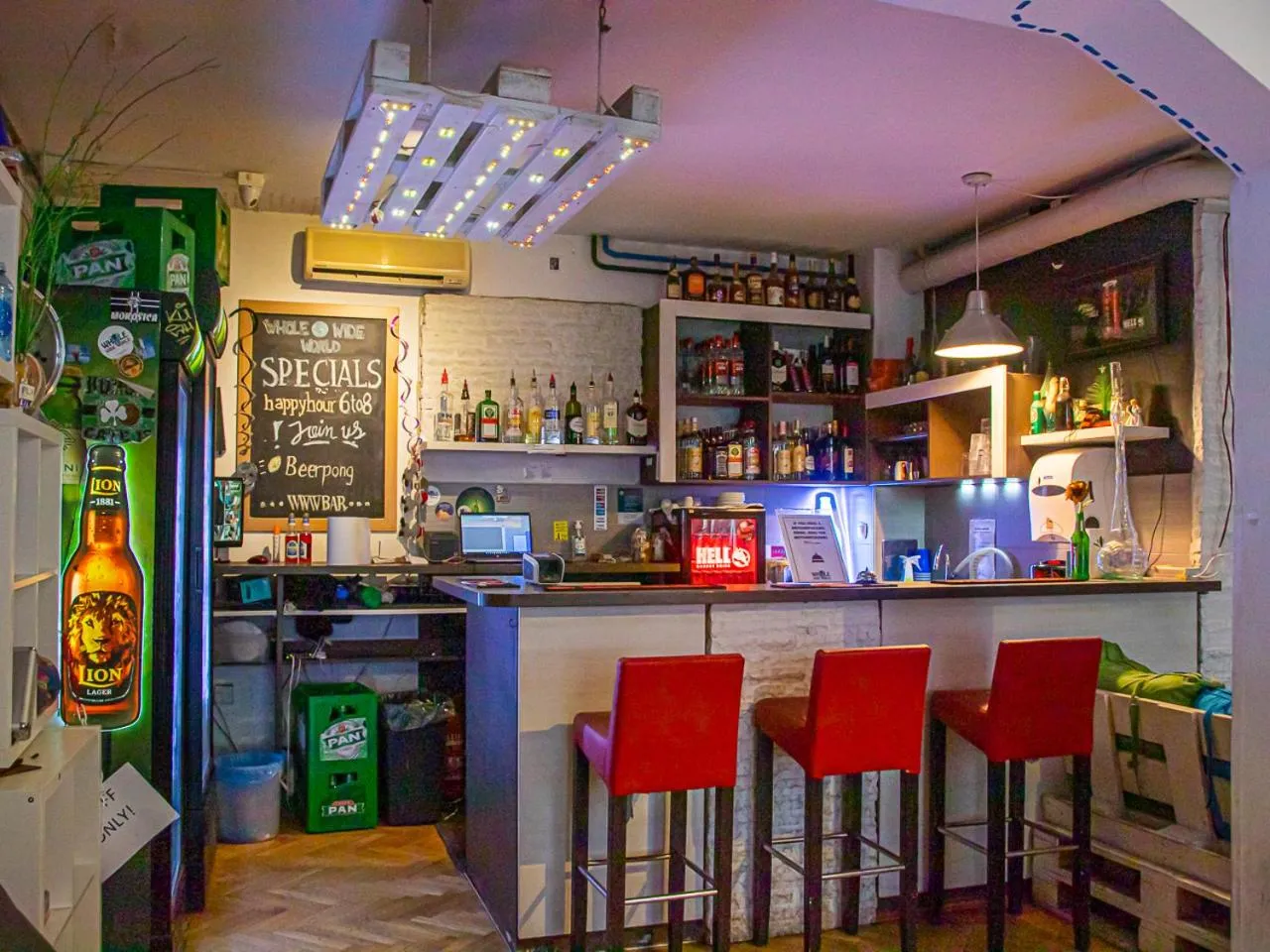 Lounge or bar in Whole Wide World Hostel